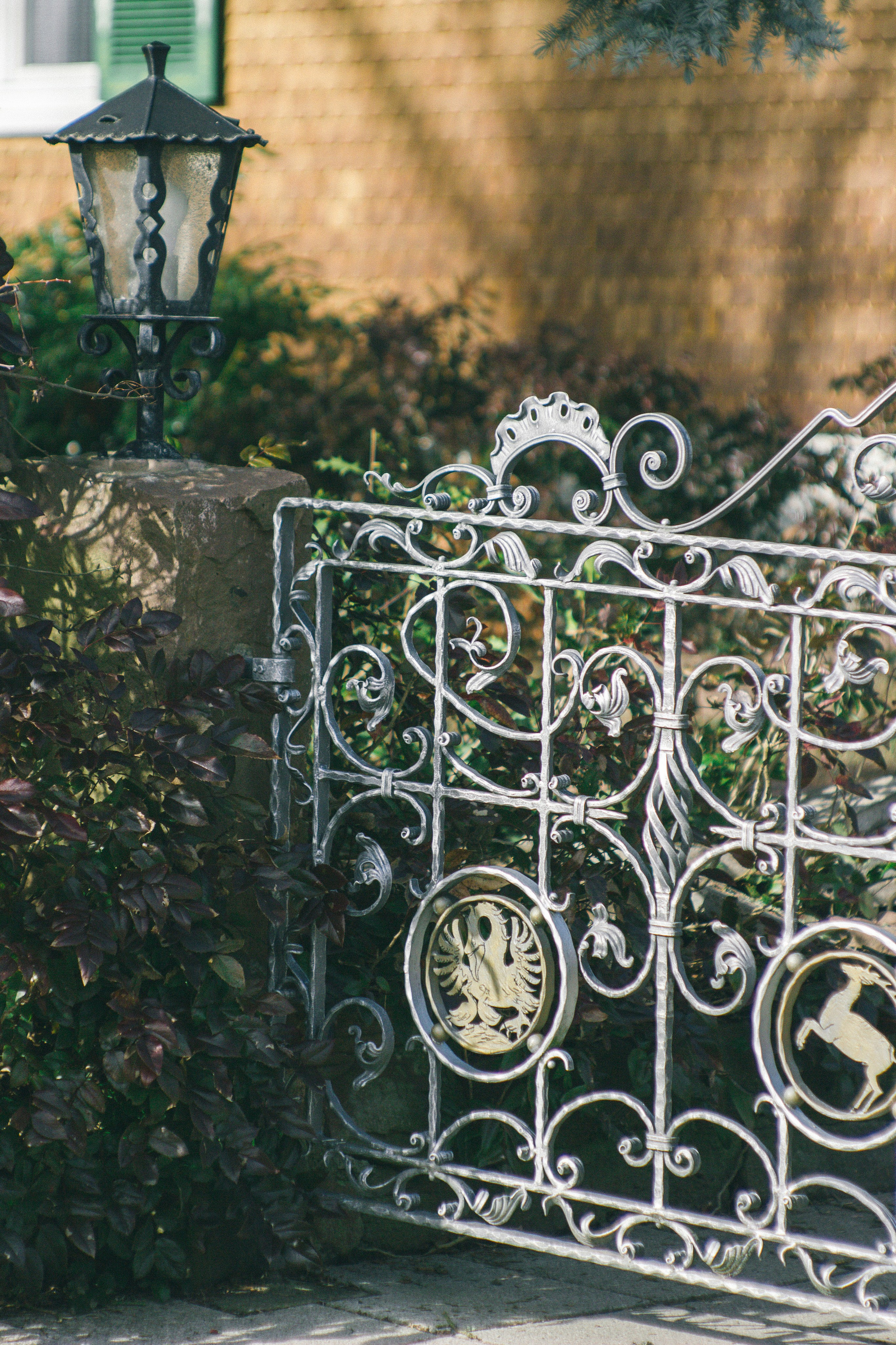 Над вершинами деревьев Baumwipfelpfad. Фотограф в Германии — Мария Чистякова