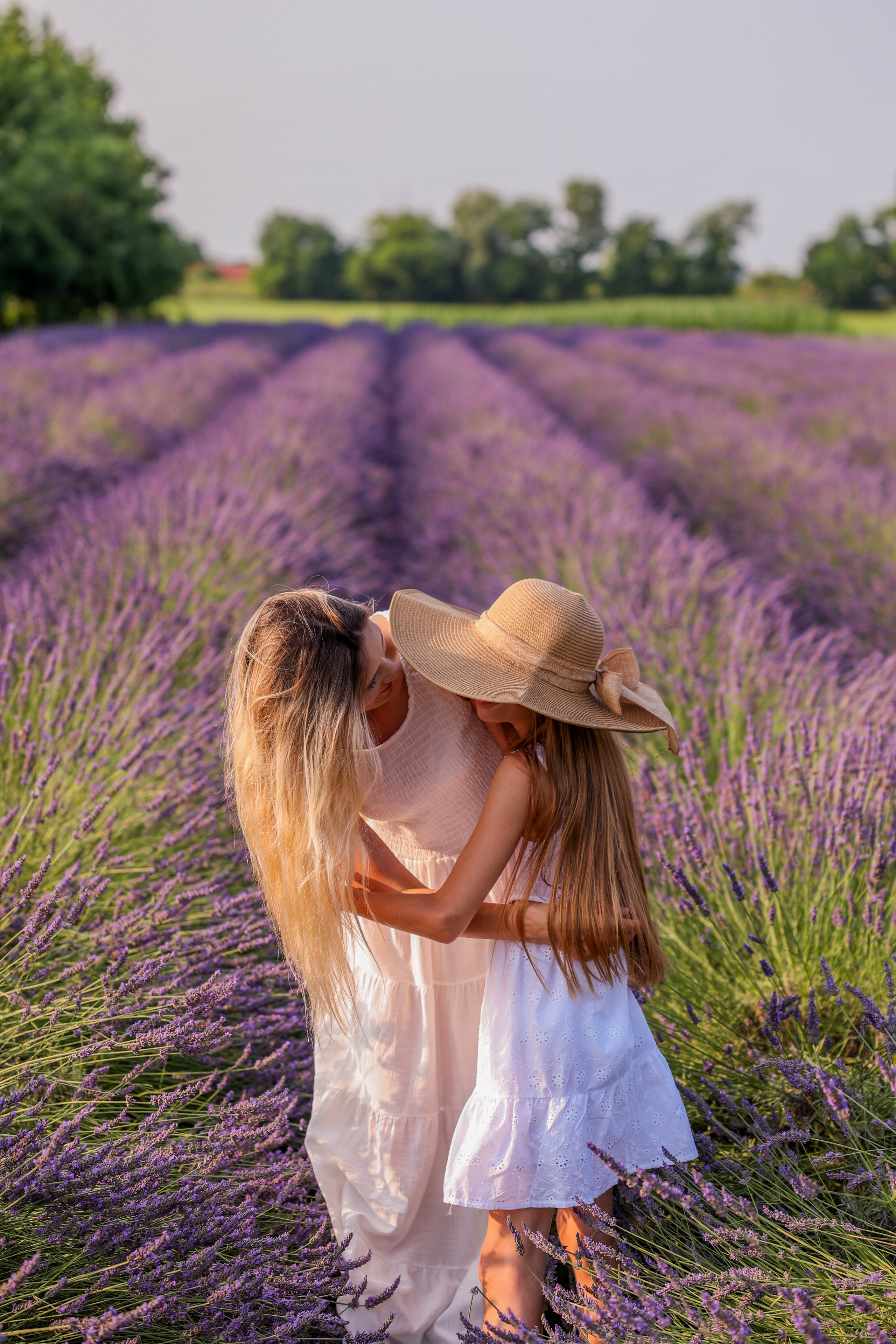 Lavanda. Photographer, Videomaker, Drone, Padova, Venice, Italy, Elena Radchenko