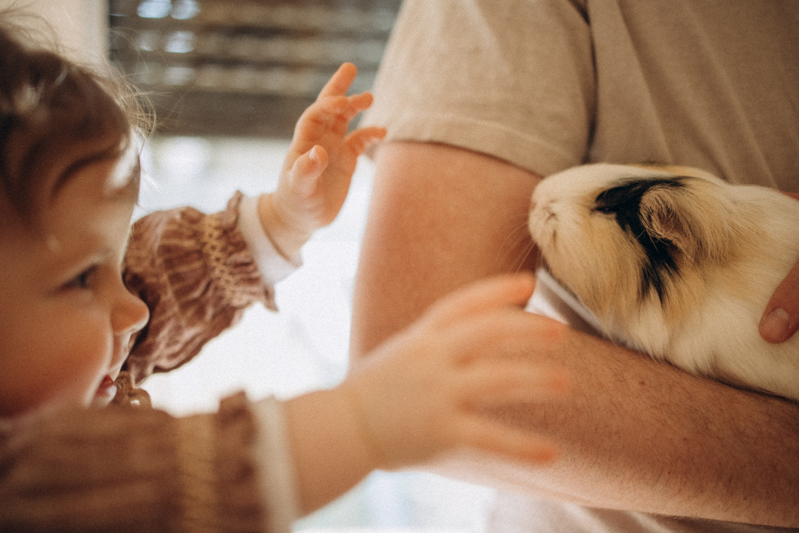 Bébés | 5 – 24 mois. Семейный фотограф во Франции (Мец, Люксембург)