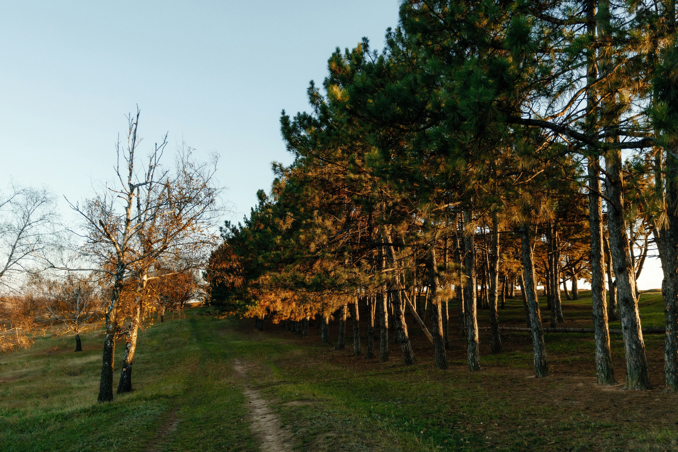 MIHAELA + ANDREI. Fulga Photographer