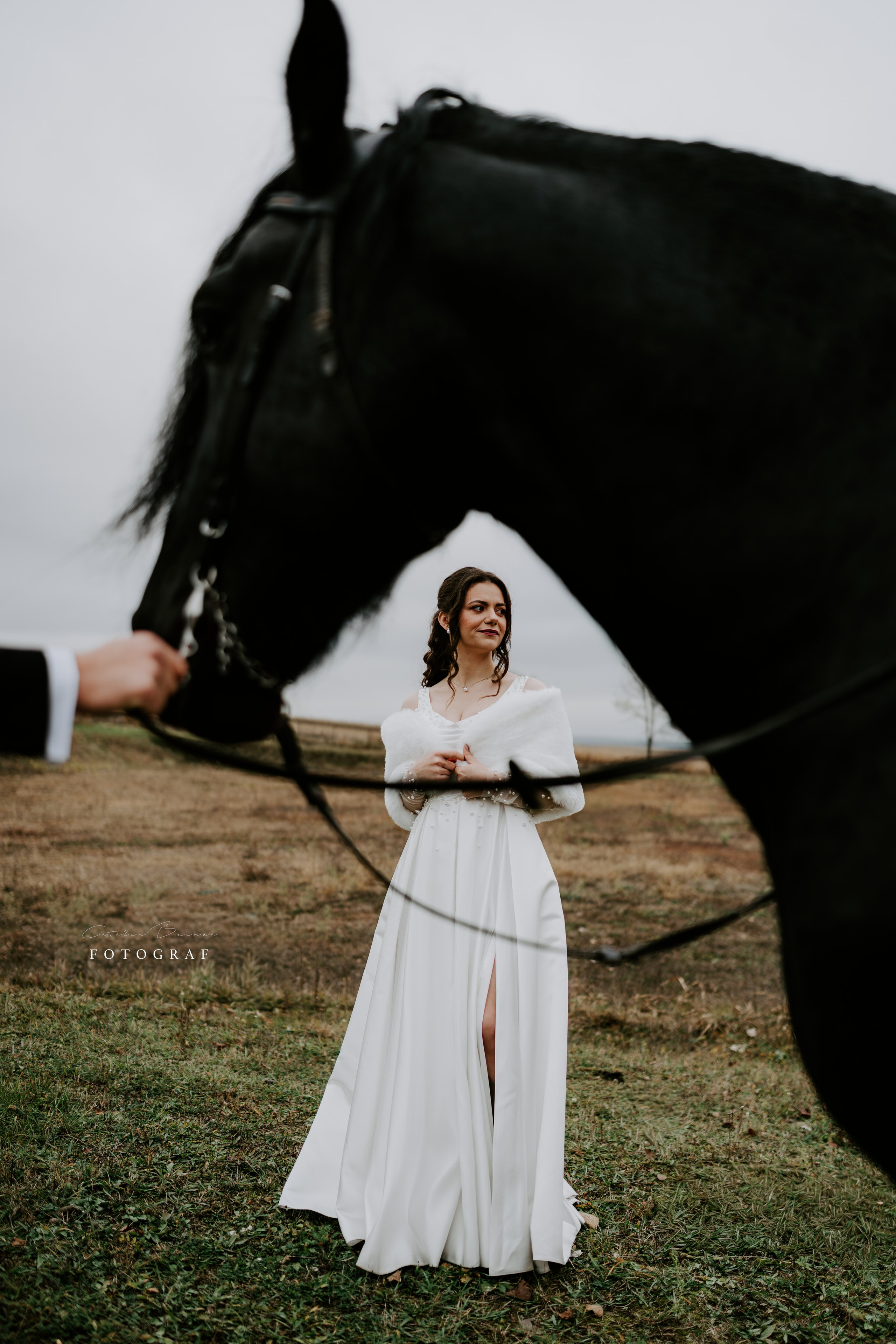 TTD — Ioana&Stefan. Catalin Brinza