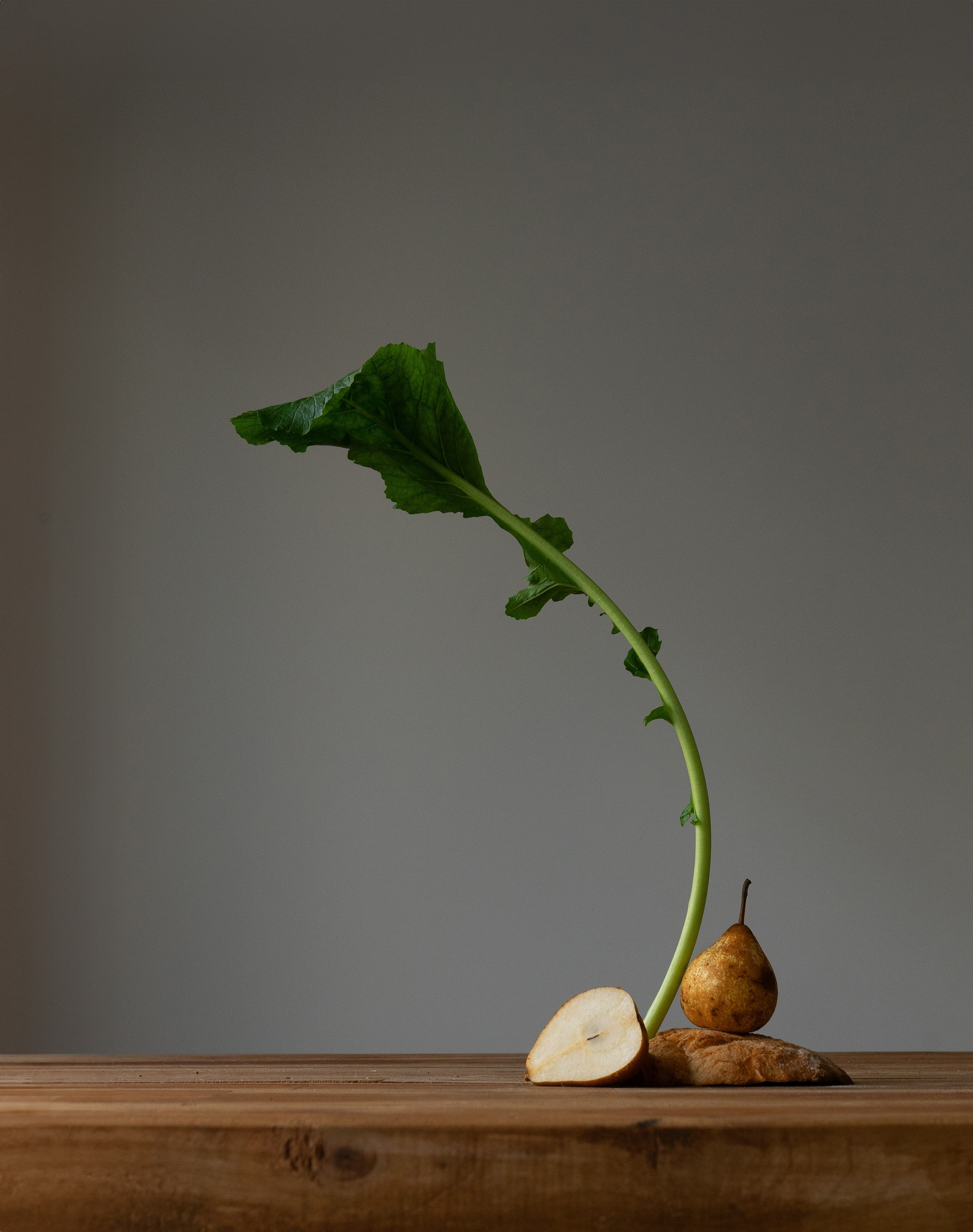 Roots. Мария Шер. Профессиональный фотограф в городе Порту, Португалия