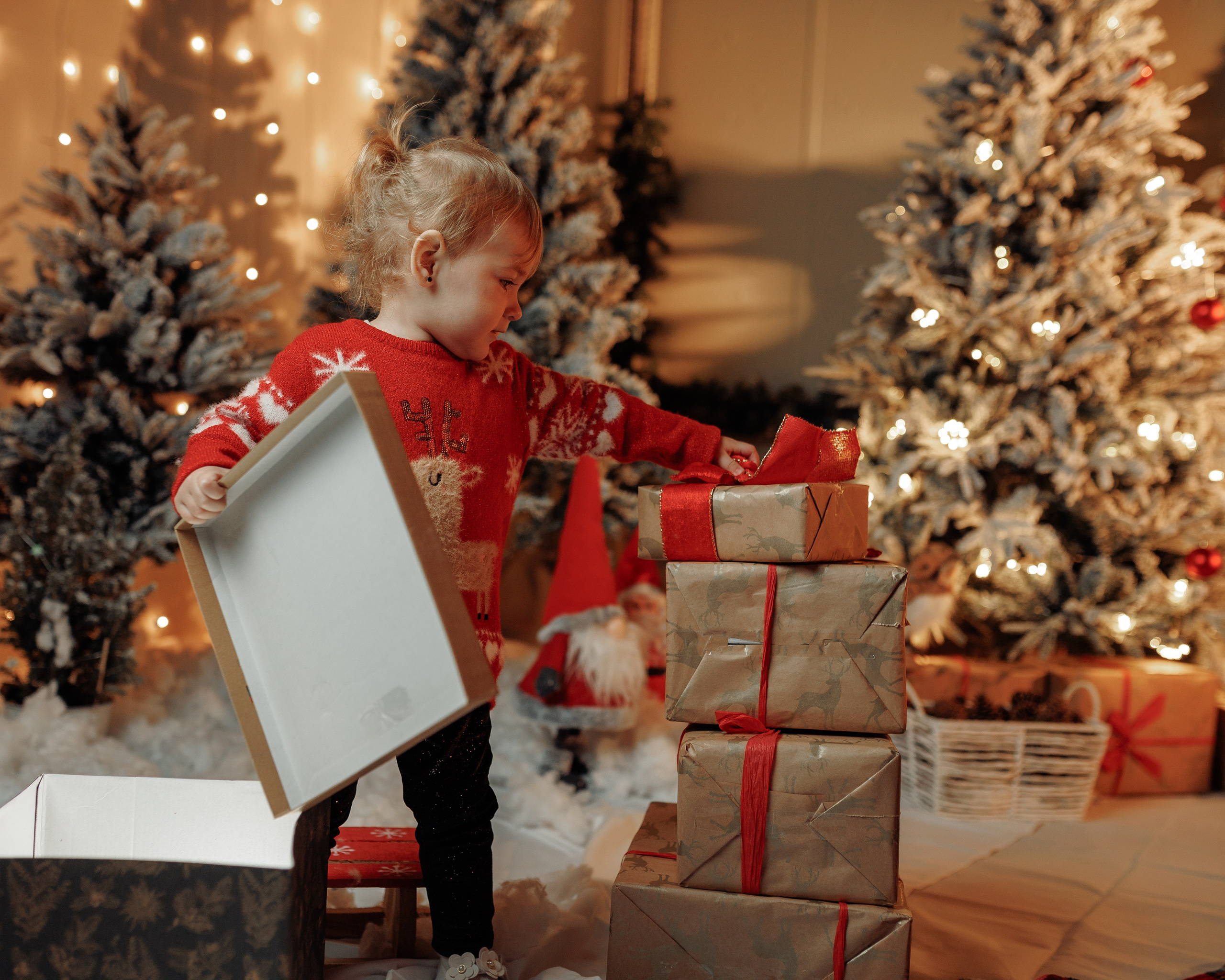 Christmas Time. Https://valphoto.wfolio.pro/