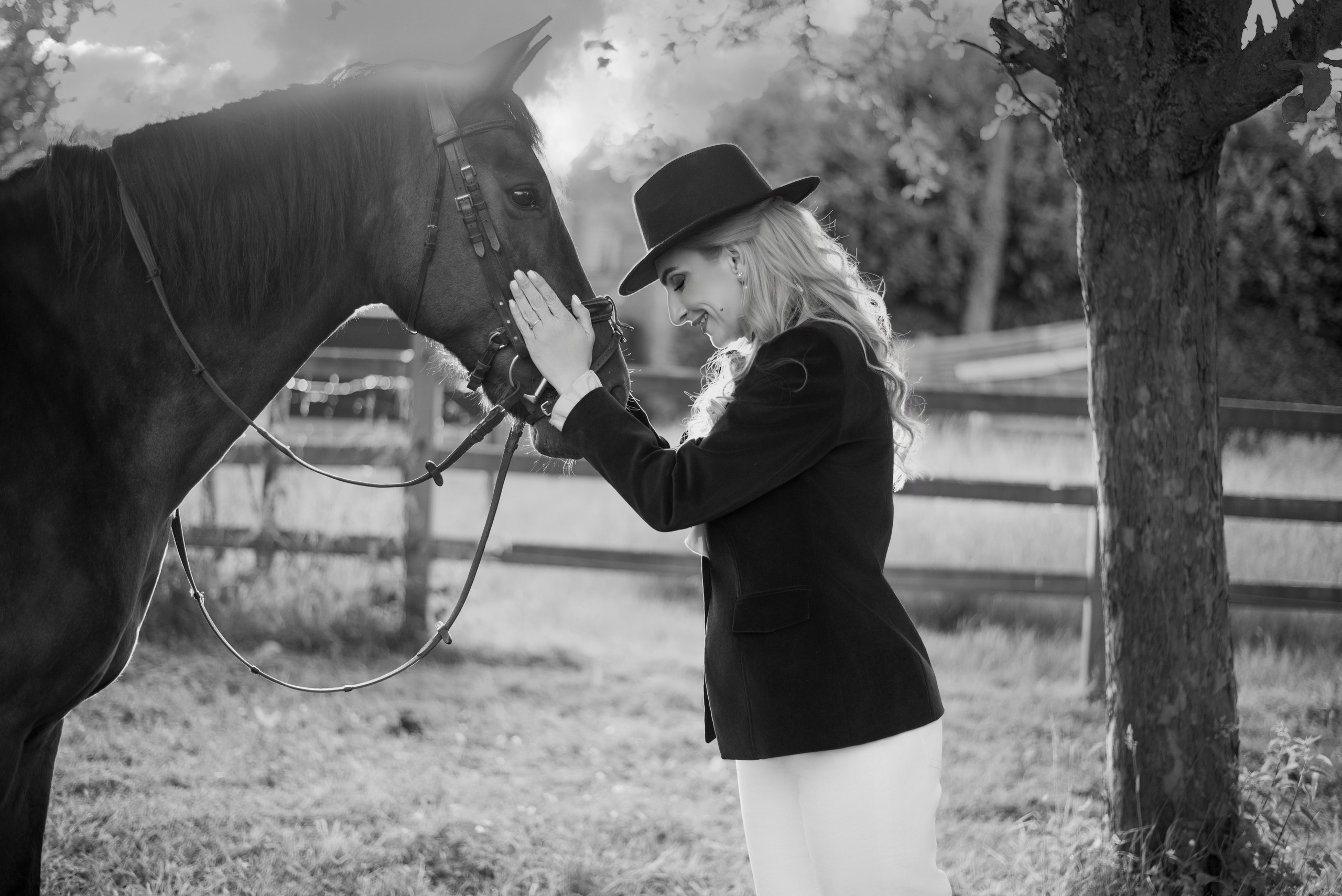 Photoshoot with Horses. Professional Photograher, Antwerpen/Belgium