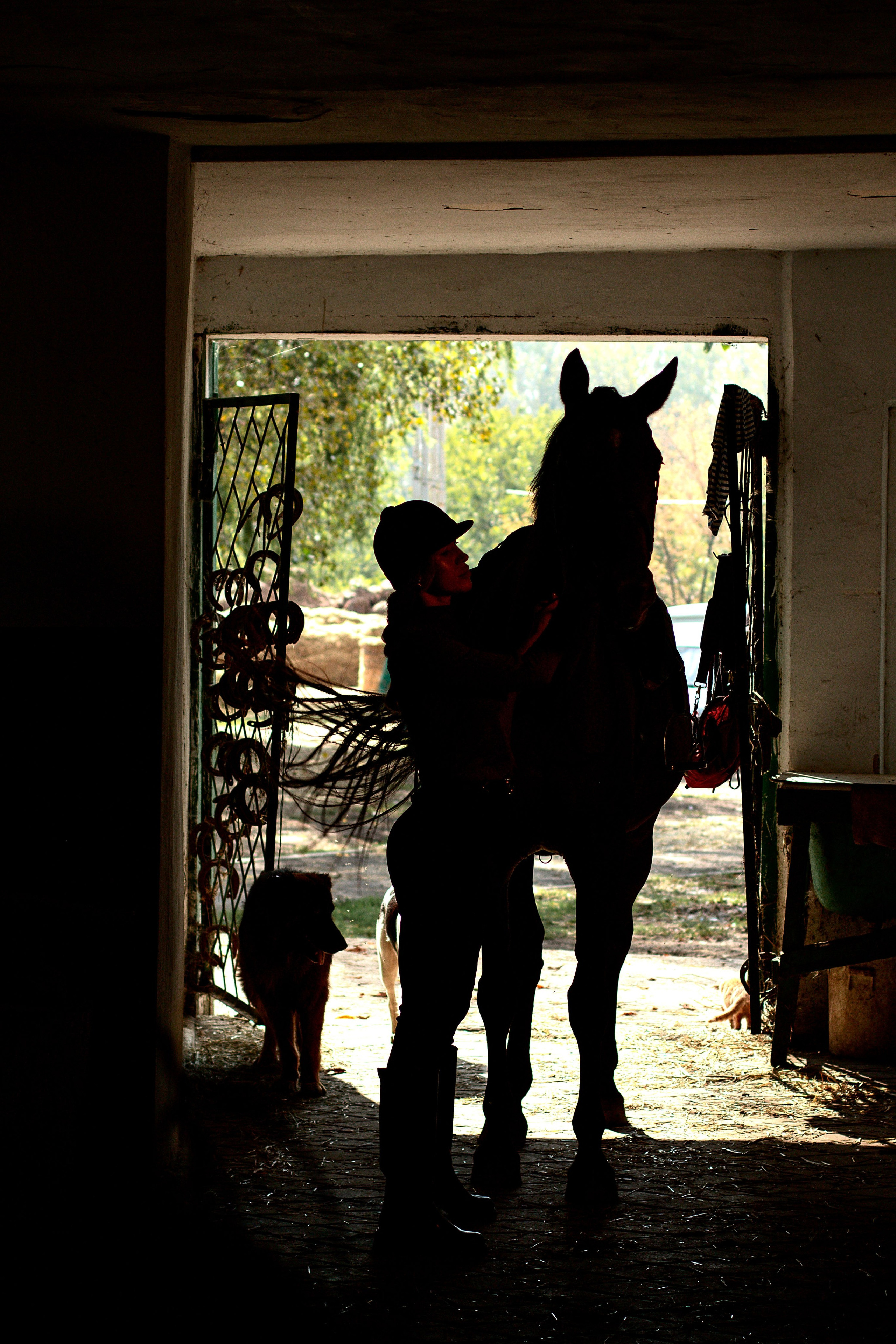 Конюшня. Детский и семейный фотограф в г. Бельцы