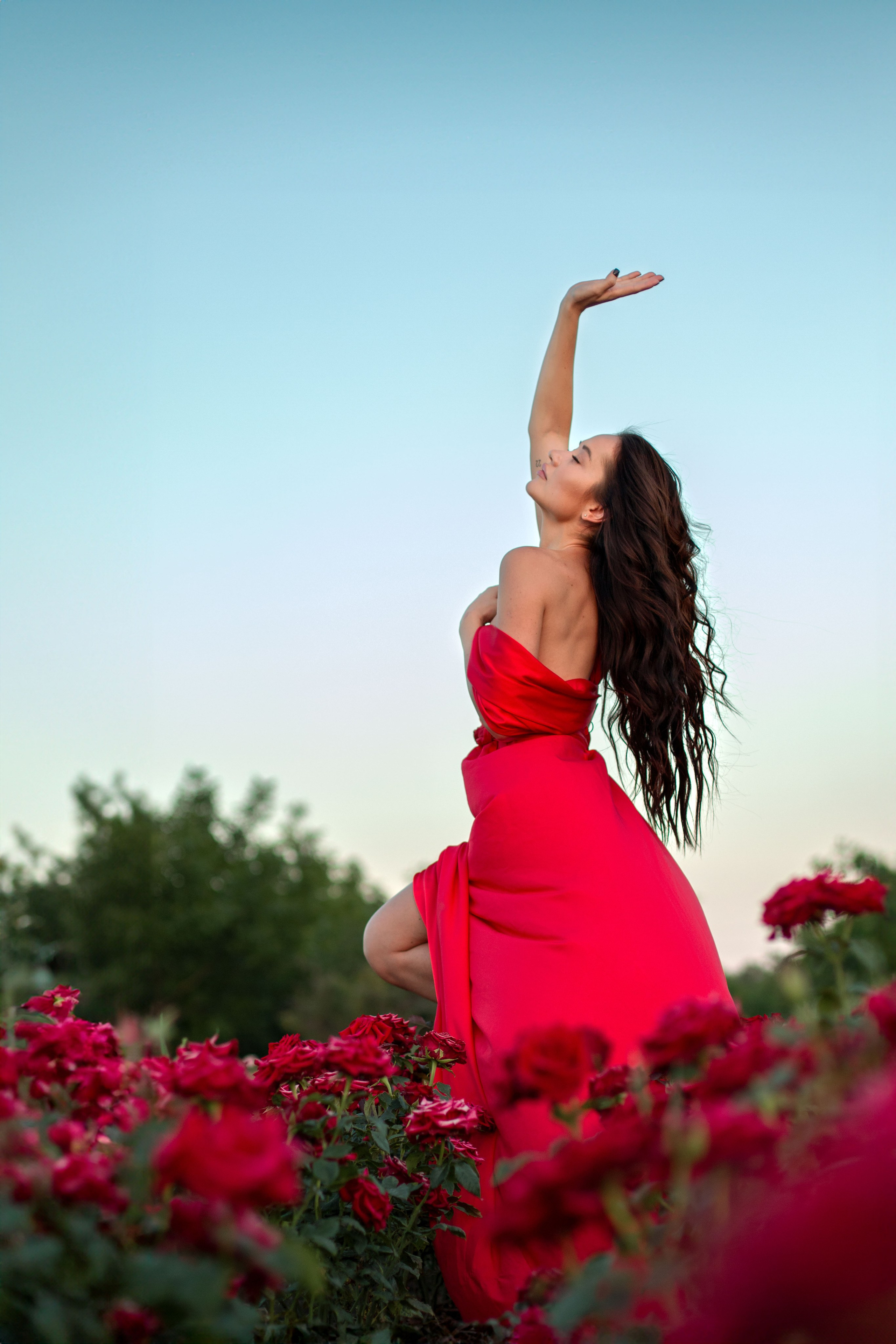 Розы. Детский и семейный фотограф в г. Бельцы