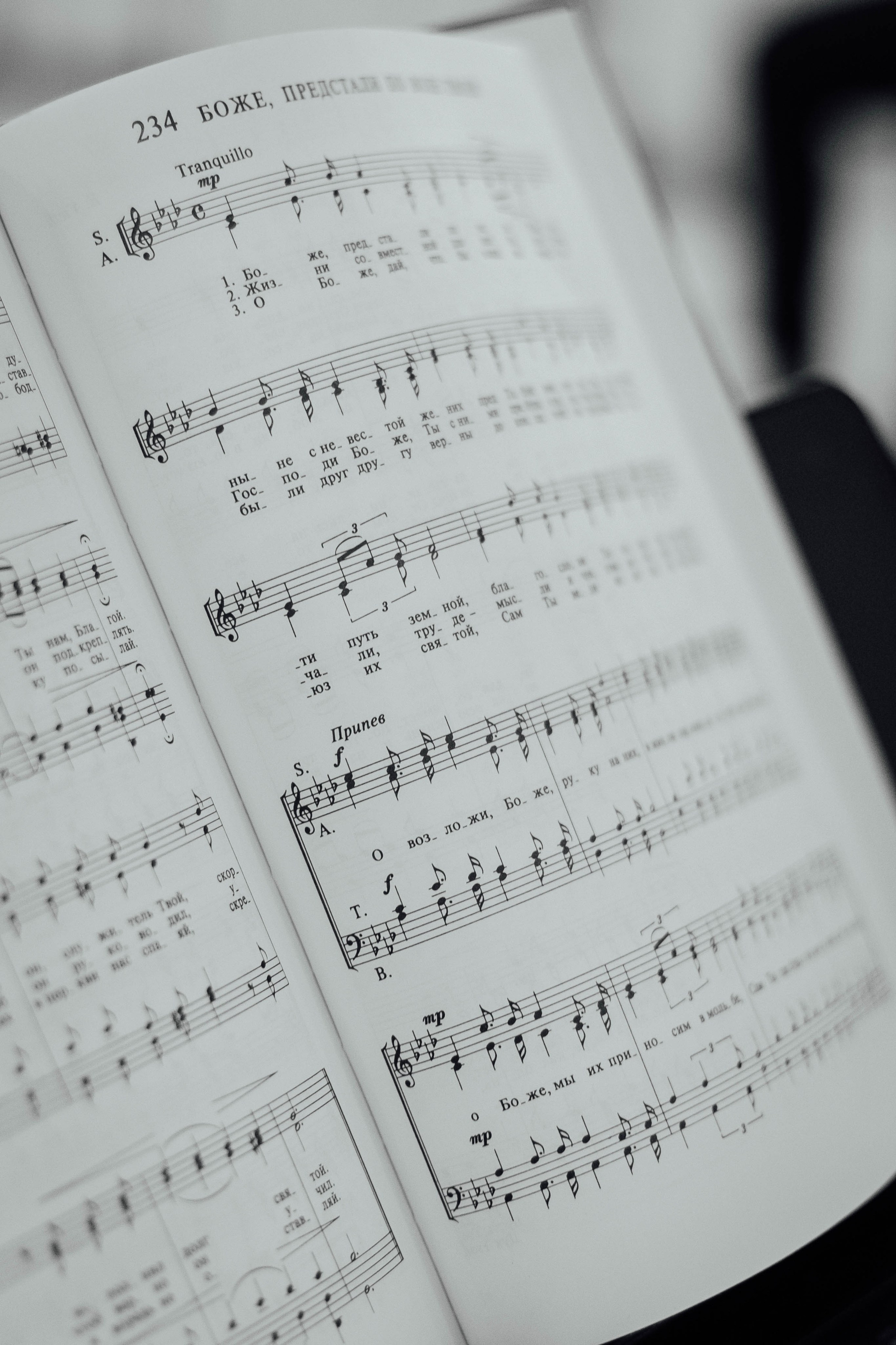 Nunta. Свадебный Фотограф, Детский и семейый Фотограф Молдова