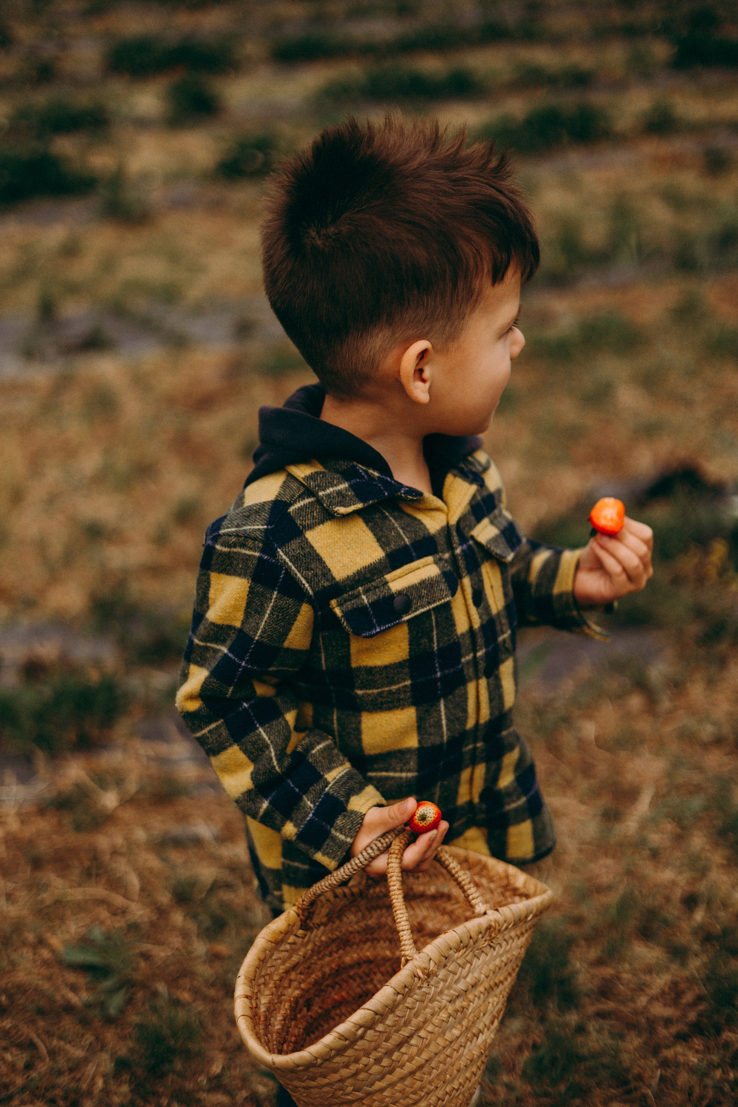Cueilette fraise. Photographe en Côte d’Azur