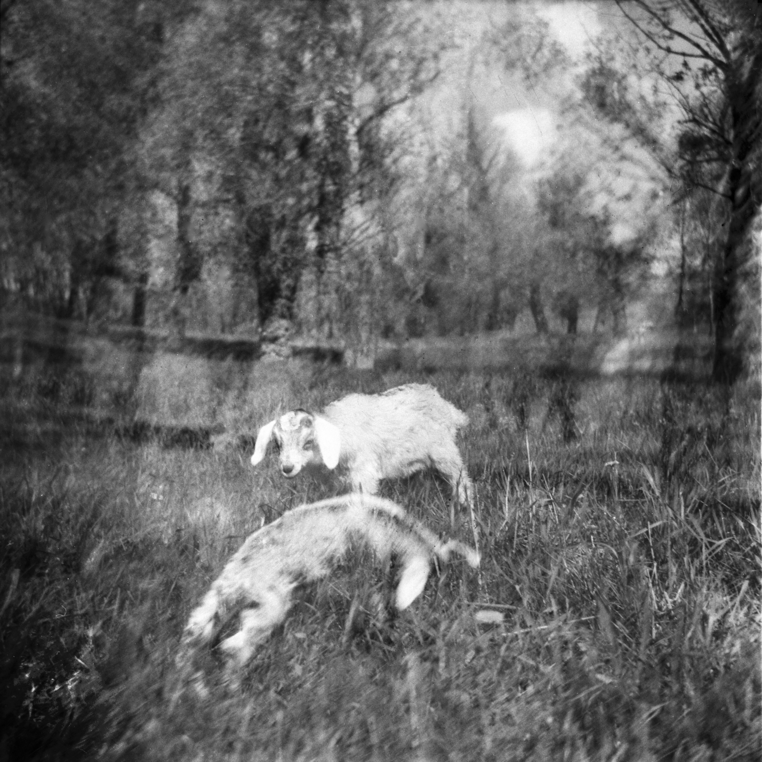 Tender Infinite Souls. Natalia Parfenova visual artist film photographer