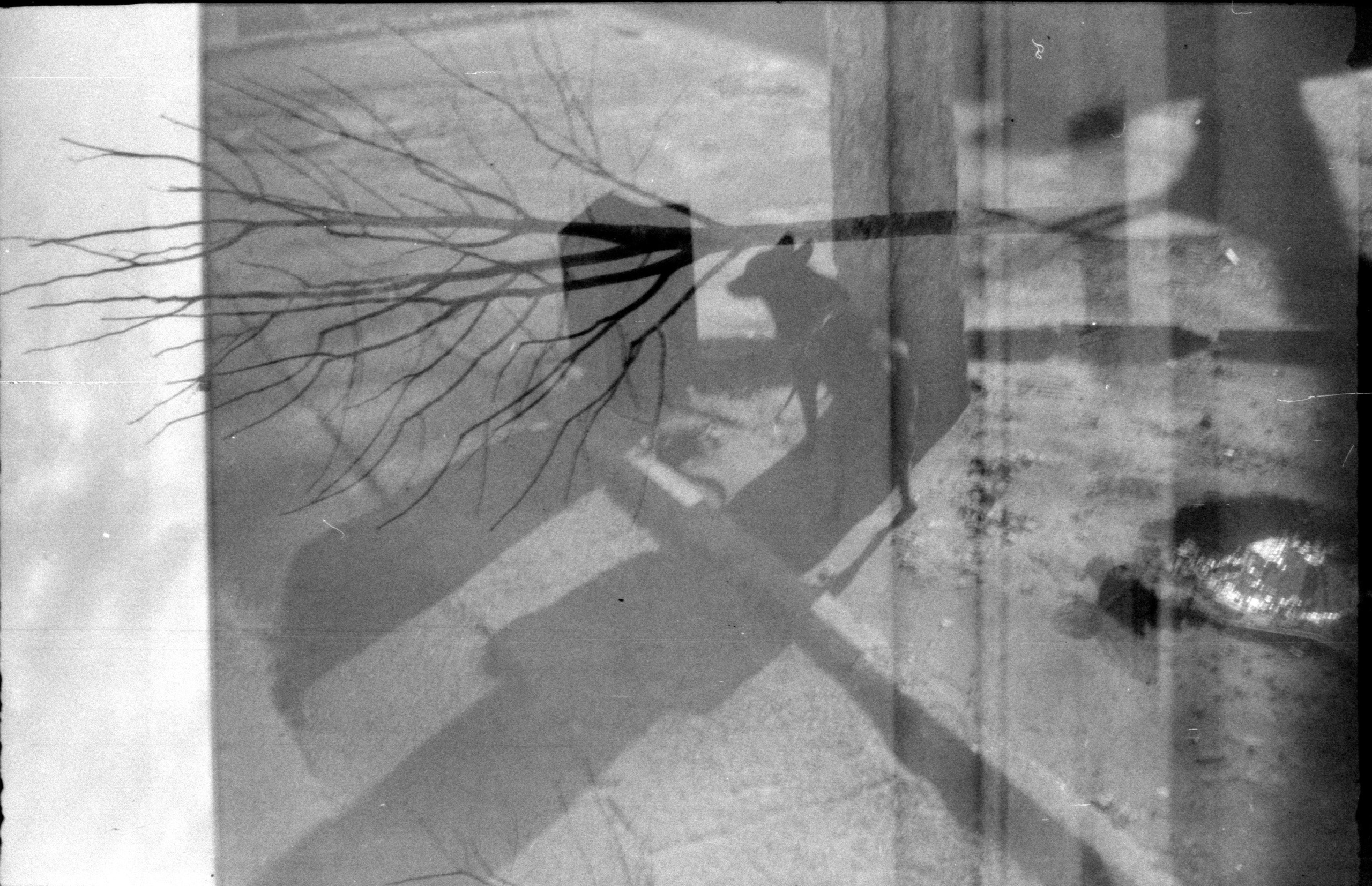 Silent light. Natalia Parfenova visual artist film photographer