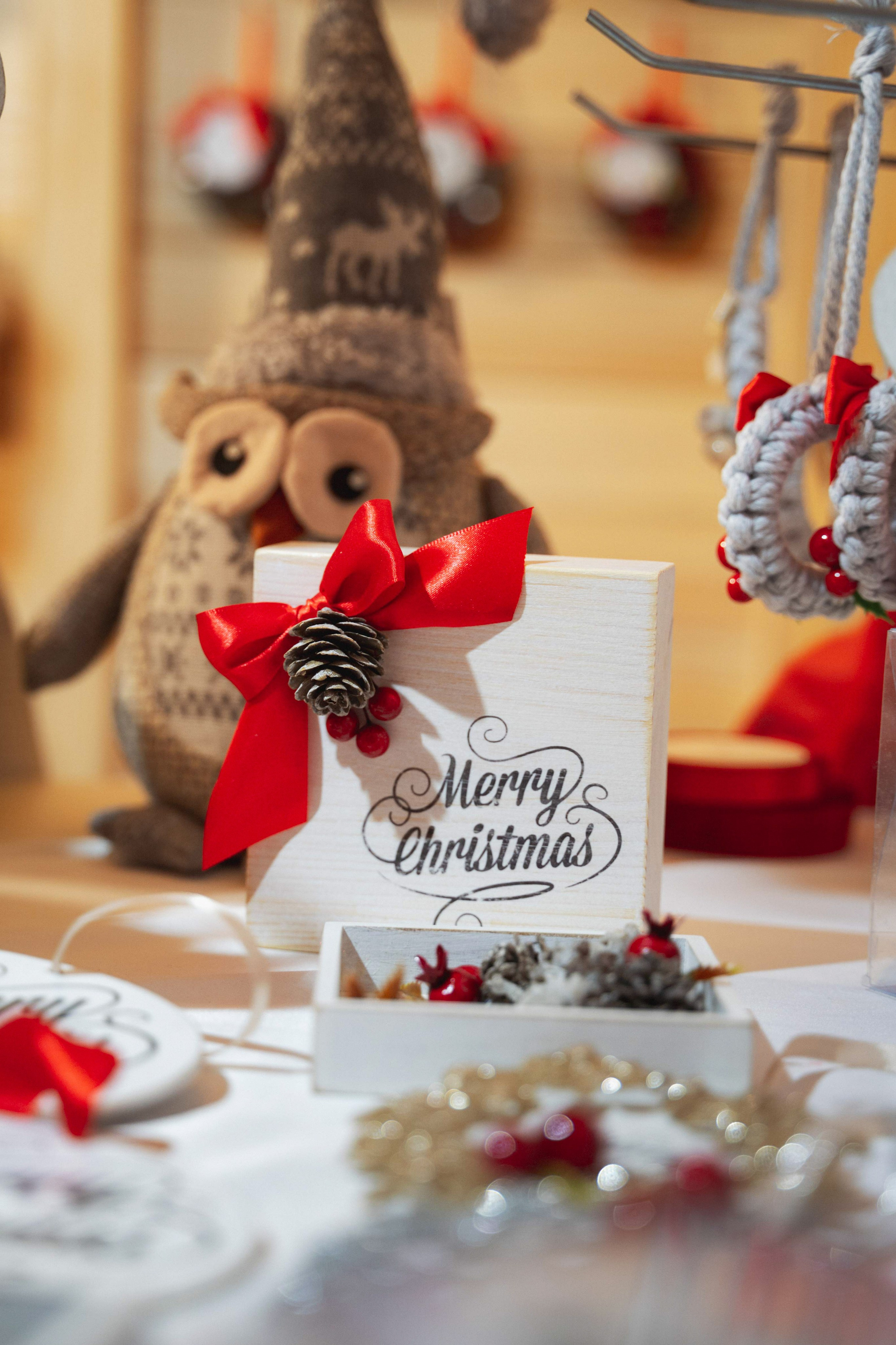 Novosadski Zimzolend. Жуков Студио