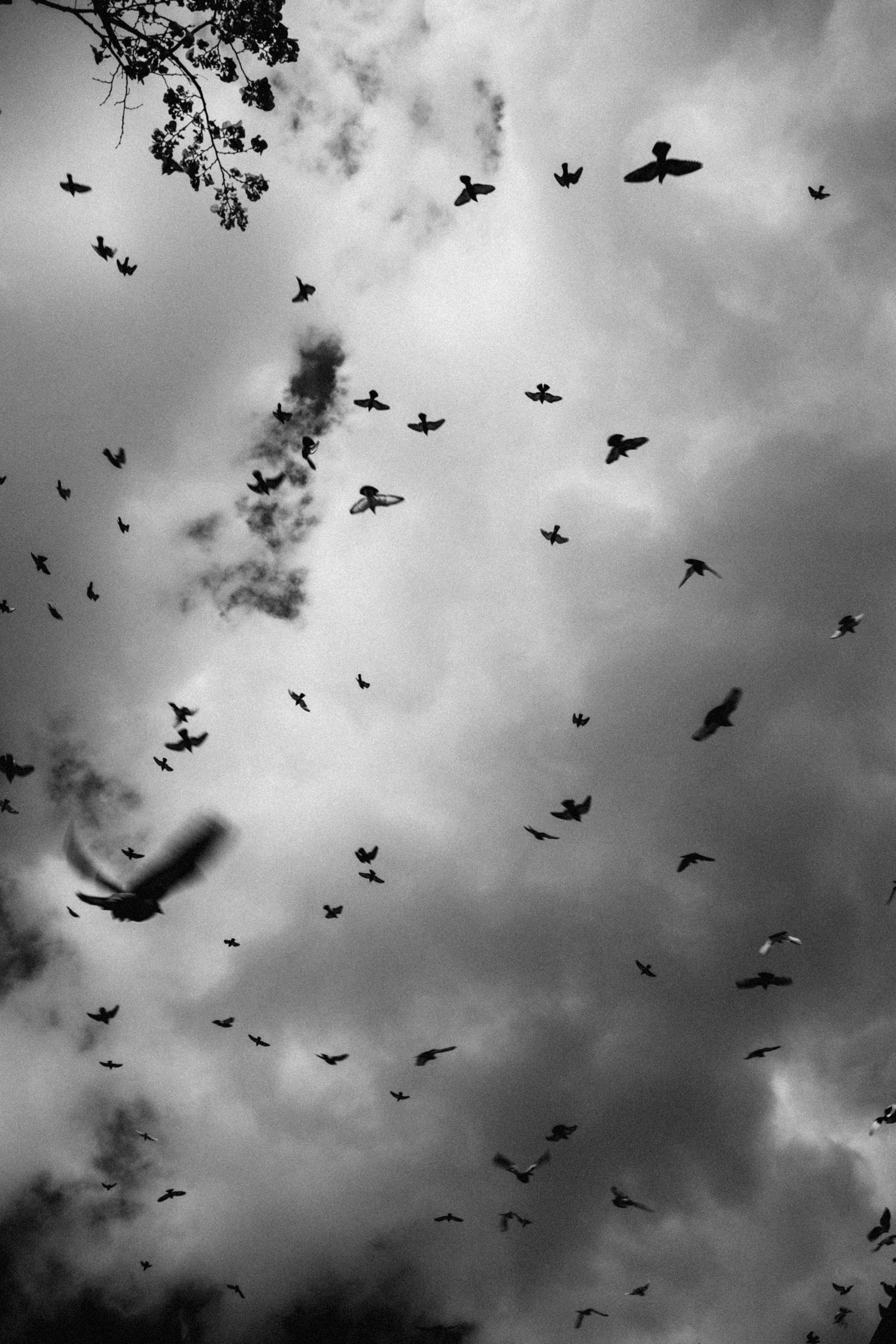 What mean Ukraine?. Ozwalt