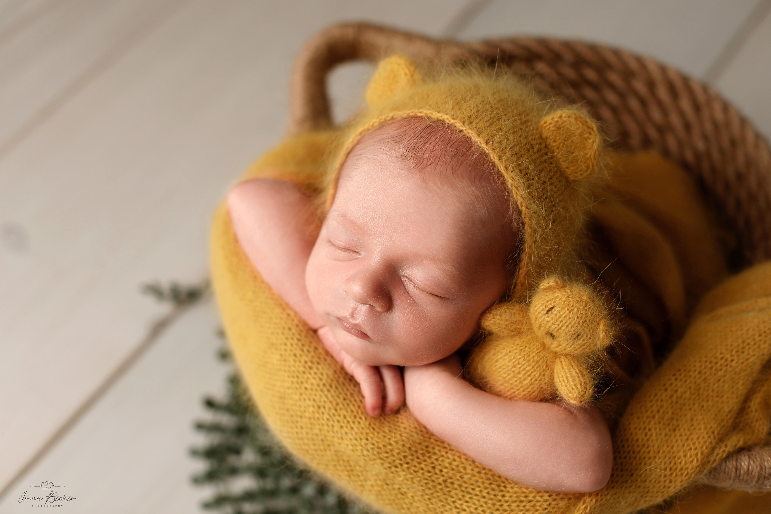 Babyfotograf Ulm, Babyfotograf Neu-Ulm, Babyfotograf Münsingen, Babyfotograf Metzingen, Babyfotograf Göppingen, Babyfotograf Tübingen, Babyfotograf Memmingen, Babyfotograf Reutlingen, Babyfotograf Stuttgart, Babyfotograf Günzburg, Babyfotograf Biberach an der Riss, Babyfotograf Alb-Donau-Kreis, Babyfotograf Bad Saulgau, Babyfotograf Bad Waldsee, Babyfotograf Ehingen, neugeborenenfotografie Ulm, neugeborenenfotografie Neu-Ulm, neugeborenenfotografie Stuttgart, neugeborenenfotografie Metzingen, neugeborenenfotografie Münsingen, neugeborenenfotografie Bad Saulgau, neugeborenenfotografie Bad Waldsee, neugeborenenfotografie Ehingen, neugeborenenfotografie Langenau, neugeborenenfotografie Ravensburg, neugeborenenfotografie Sigmaringen, Fograf Ulm, Fotograf Ehingen, Fotograf Bad Waldsee, Fotograf Friedrichshafen, Baby Ulm, Entbindung Ulm, babyfotograf Erbach, Babyfotograf Blabeuren, Babyfotograf Biberach, babyshooting ulm, babyshooting metzingen, babyshooting ehingen