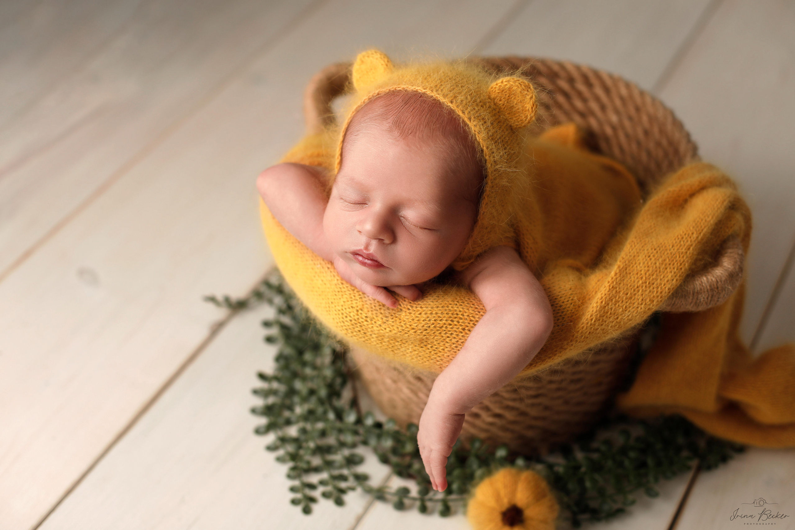 Babyfotograf Ulm, Babyfotograf Neu-Ulm, Babyfotograf Münsingen, Babyfotograf Metzingen, Babyfotograf Göppingen, Babyfotograf Tübingen, Babyfotograf Memmingen, Babyfotograf Reutlingen, Babyfotograf Stuttgart, Babyfotograf Günzburg, Babyfotograf Biberach an der Riss, Babyfotograf Alb-Donau-Kreis, Babyfotograf Bad Saulgau, Babyfotograf Bad Waldsee, Babyfotograf Ehingen, neugeborenenfotografie Ulm, neugeborenenfotografie Neu-Ulm, neugeborenenfotografie Stuttgart, neugeborenenfotografie Metzingen, neugeborenenfotografie Münsingen, neugeborenenfotografie Bad Saulgau, neugeborenenfotografie Bad Waldsee, neugeborenenfotografie Ehingen, neugeborenenfotografie Langenau, neugeborenenfotografie Ravensburg, neugeborenenfotografie Sigmaringen, Fograf Ulm, Fotograf Ehingen, Fotograf Bad Waldsee, Fotograf Friedrichshafen, Baby Ulm, Entbindung Ulm, babyfotograf Erbach, Babyfotograf Blabeuren, Babyfotograf Biberach