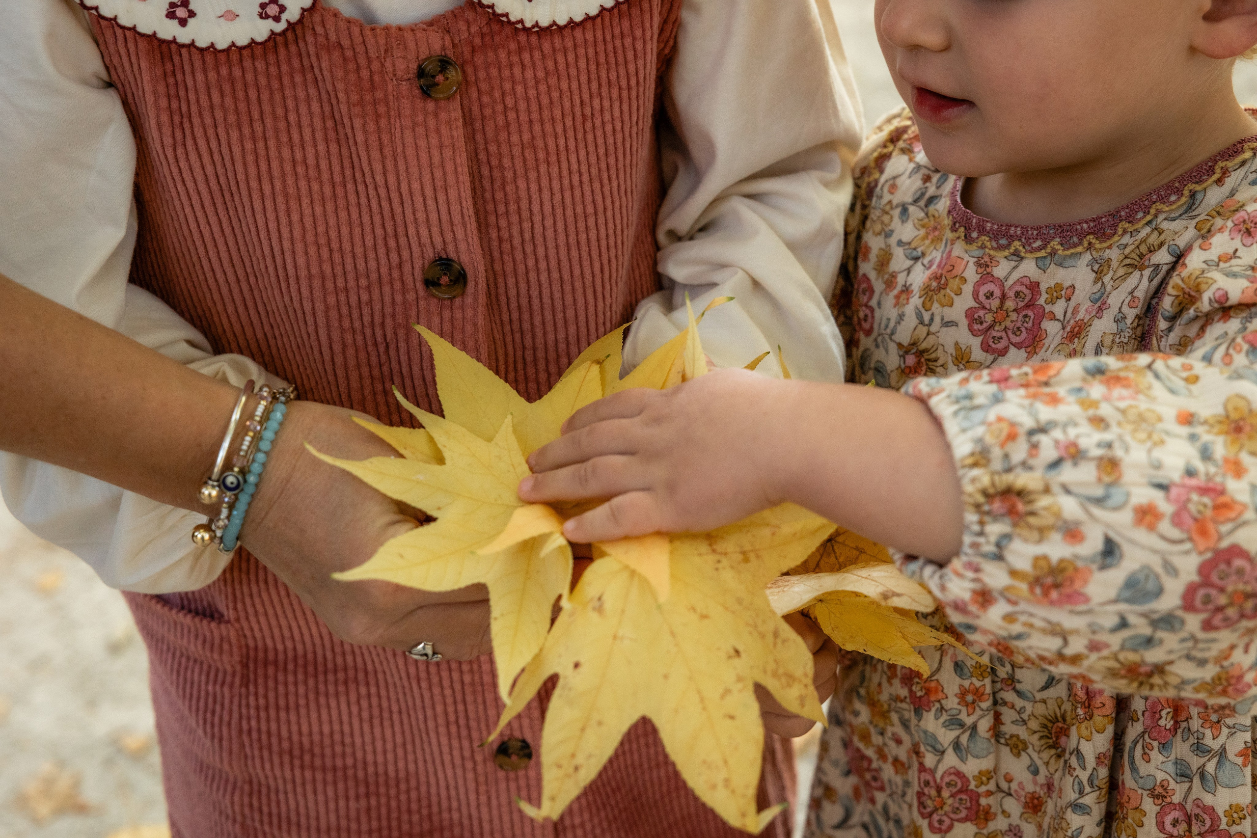 Autumn Family photoshoot in Toulouse. Jardin des Plantes. Евгения Смирнова — фотограф в Тулузе и юго-западной Франции