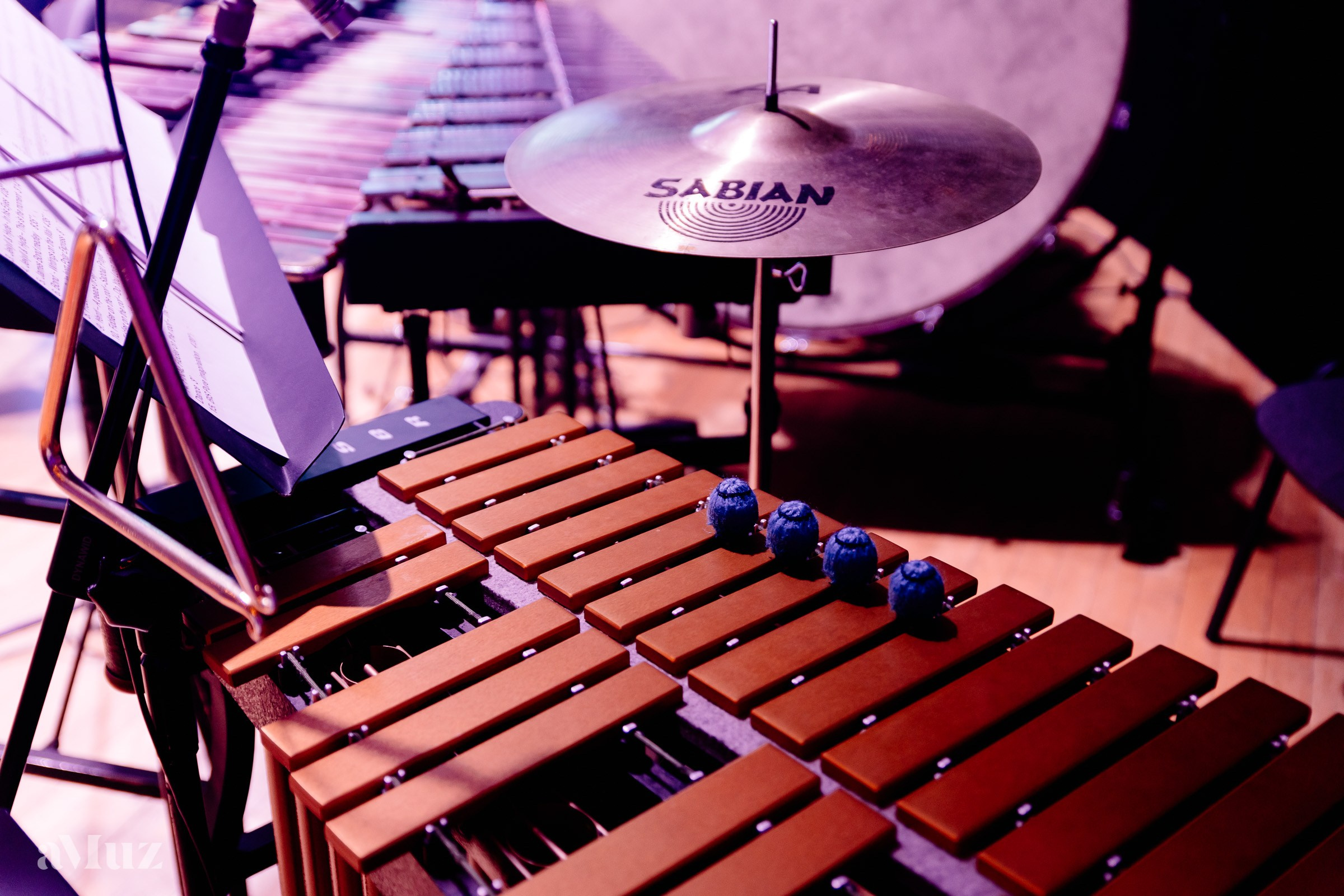 Koncert Amuz.pl. Fotograf Ślubny Warszawa - Sesje Biznesowe Rodzinne Eventy