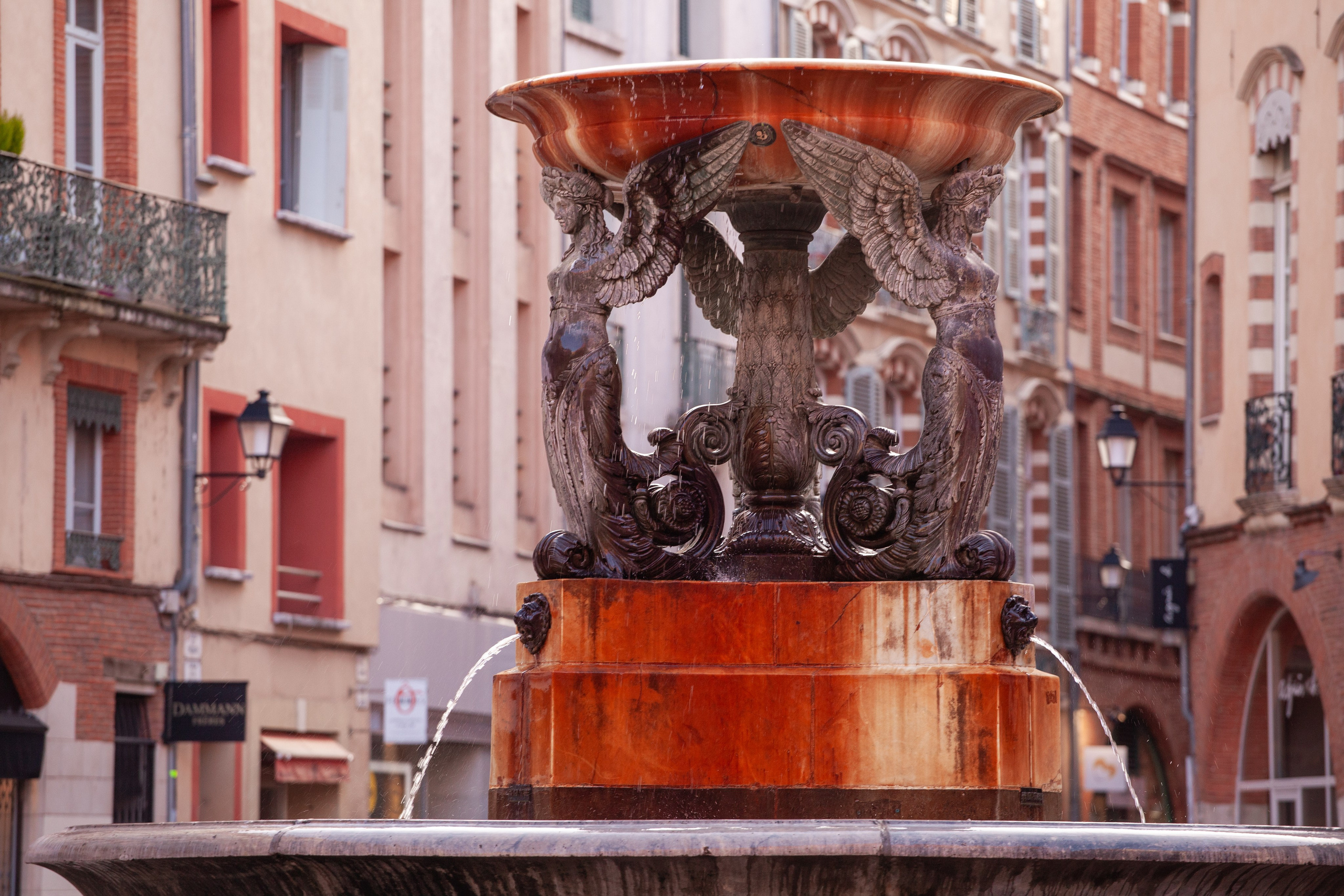 Toulouse. Eugénie Smirnova — Photographe à Toulouse et dans le Sud-Ouest