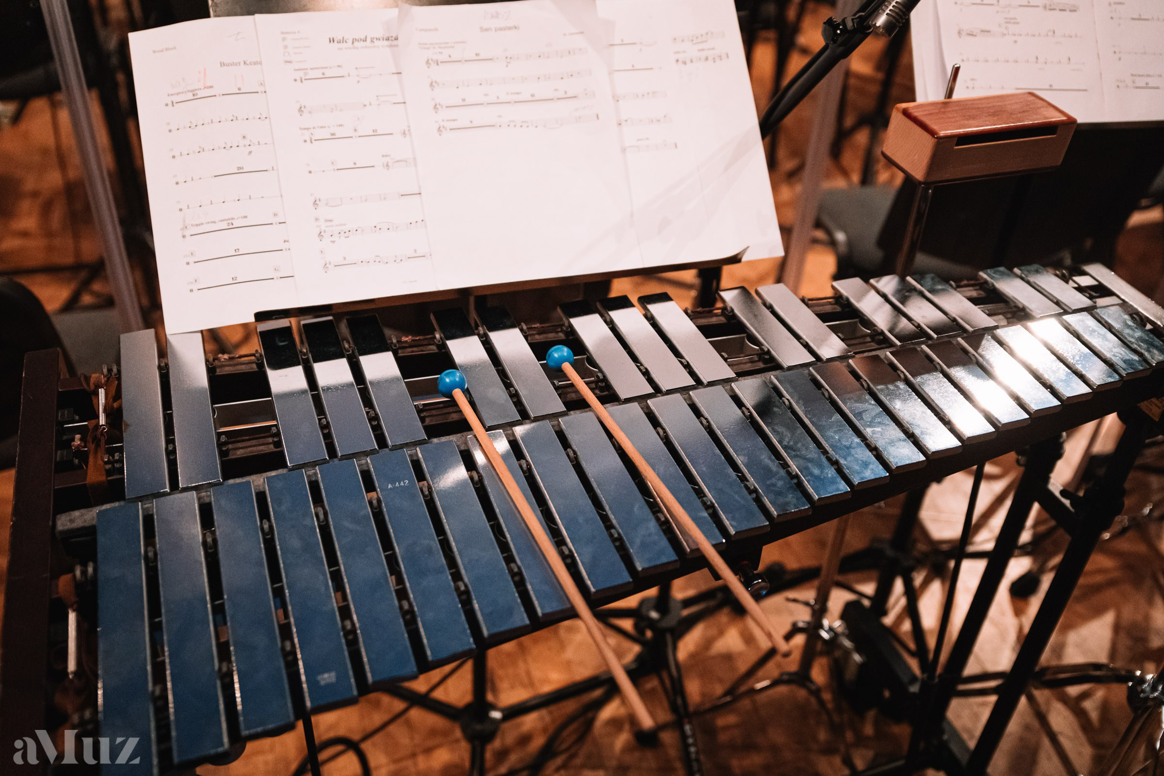 Koncert Muzyki Filmowej. Fotograf Ślubny Warszawa - Sesje Biznesowe Rodzinne Eventy