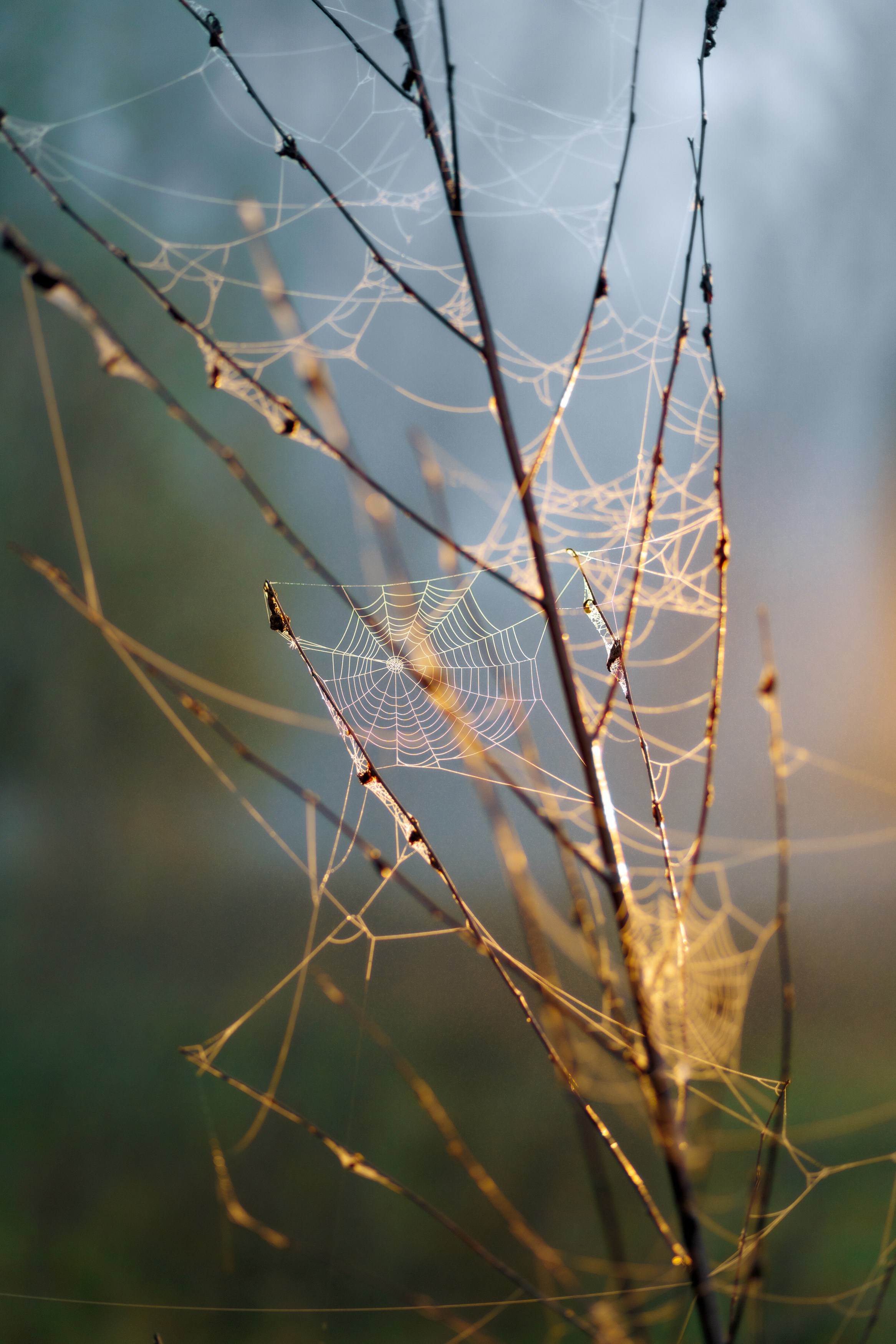 MARIANA — AUTUMN TIME. Fulga Photographer