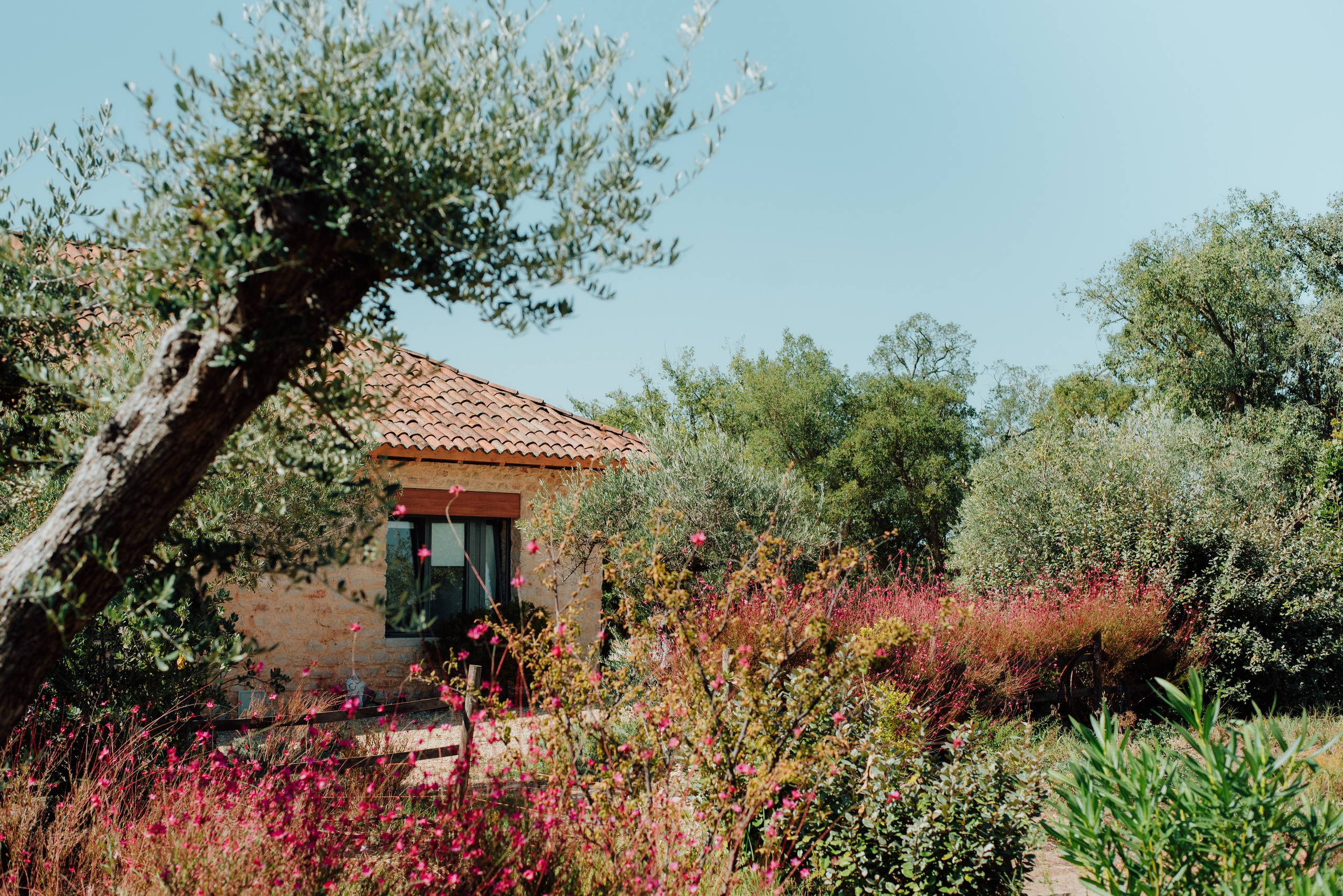 YOGA RETREAT PORTUGAL. Lifestyle, wedding and family photographer