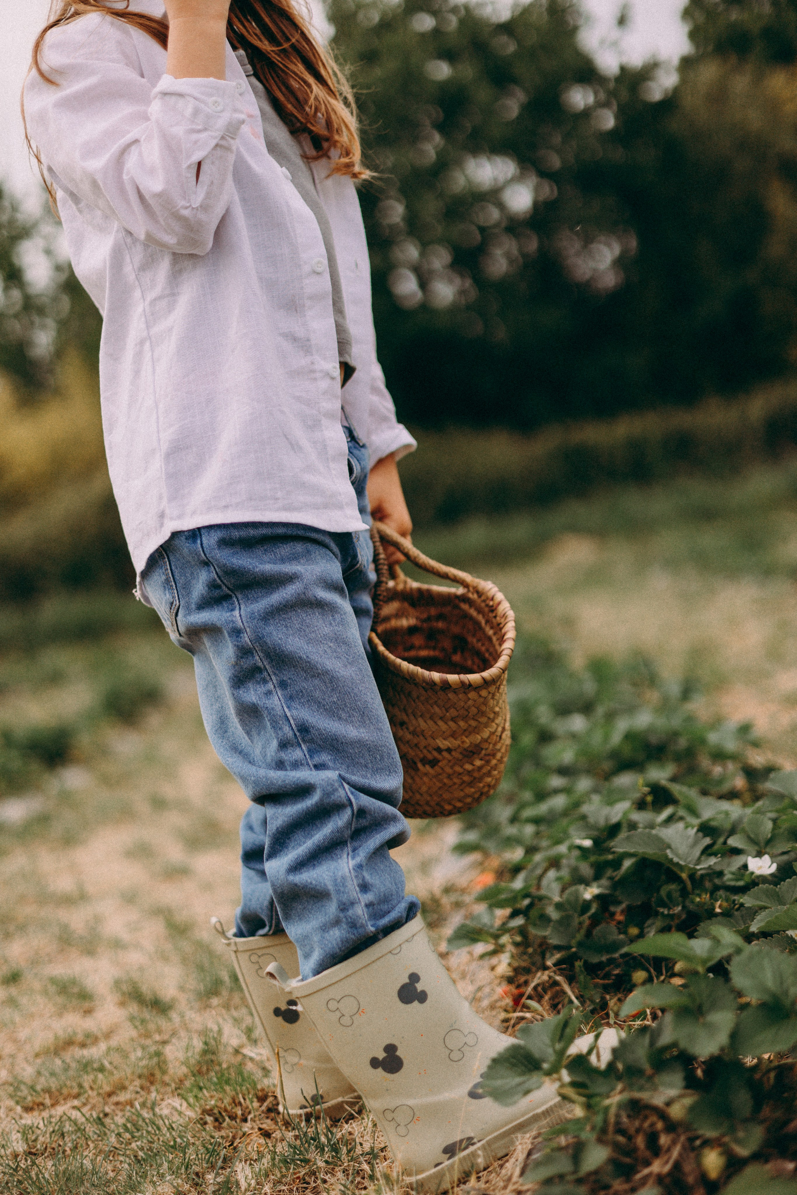 Cueilette fraise. Photographe en Côte d’Azur