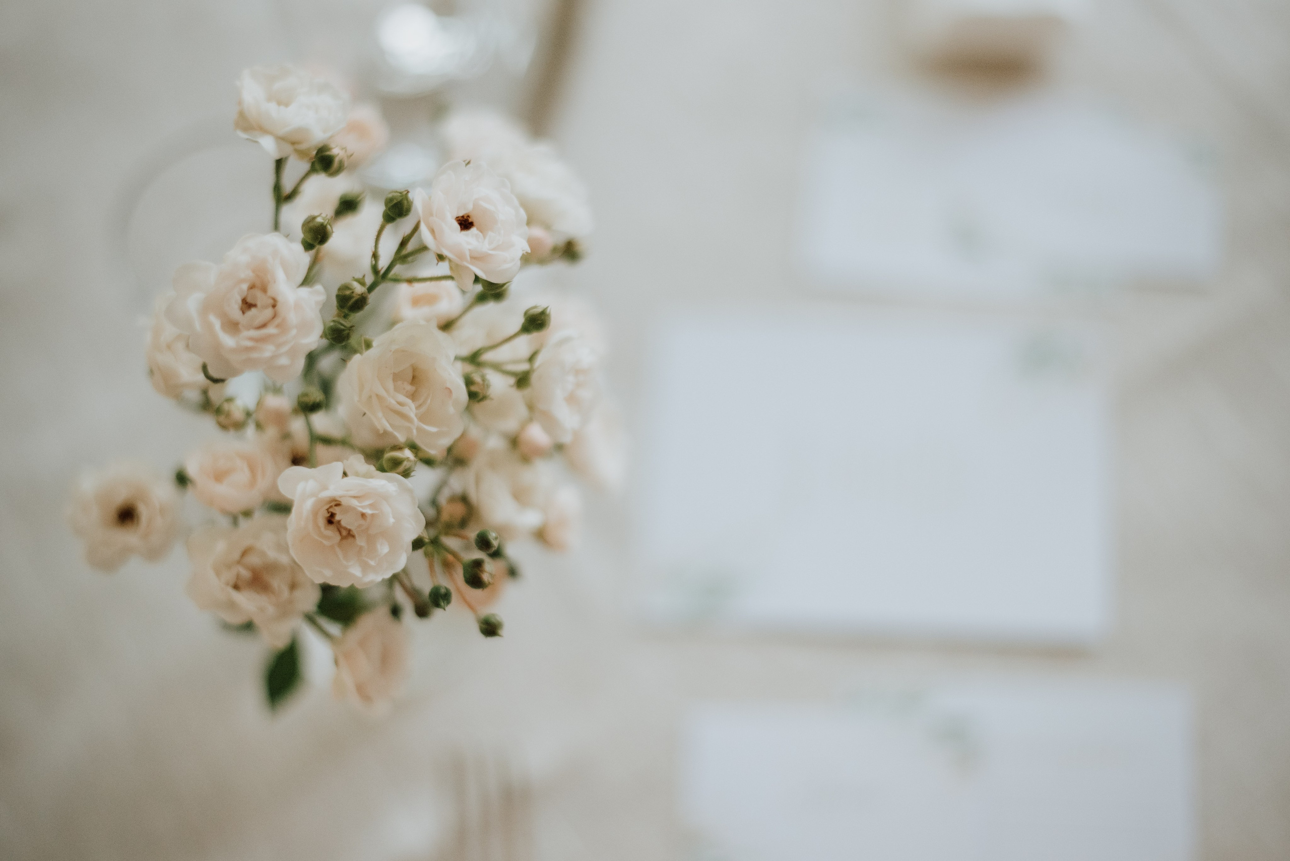 Daniela + Marcel. Lifestyle, wedding and family photographer