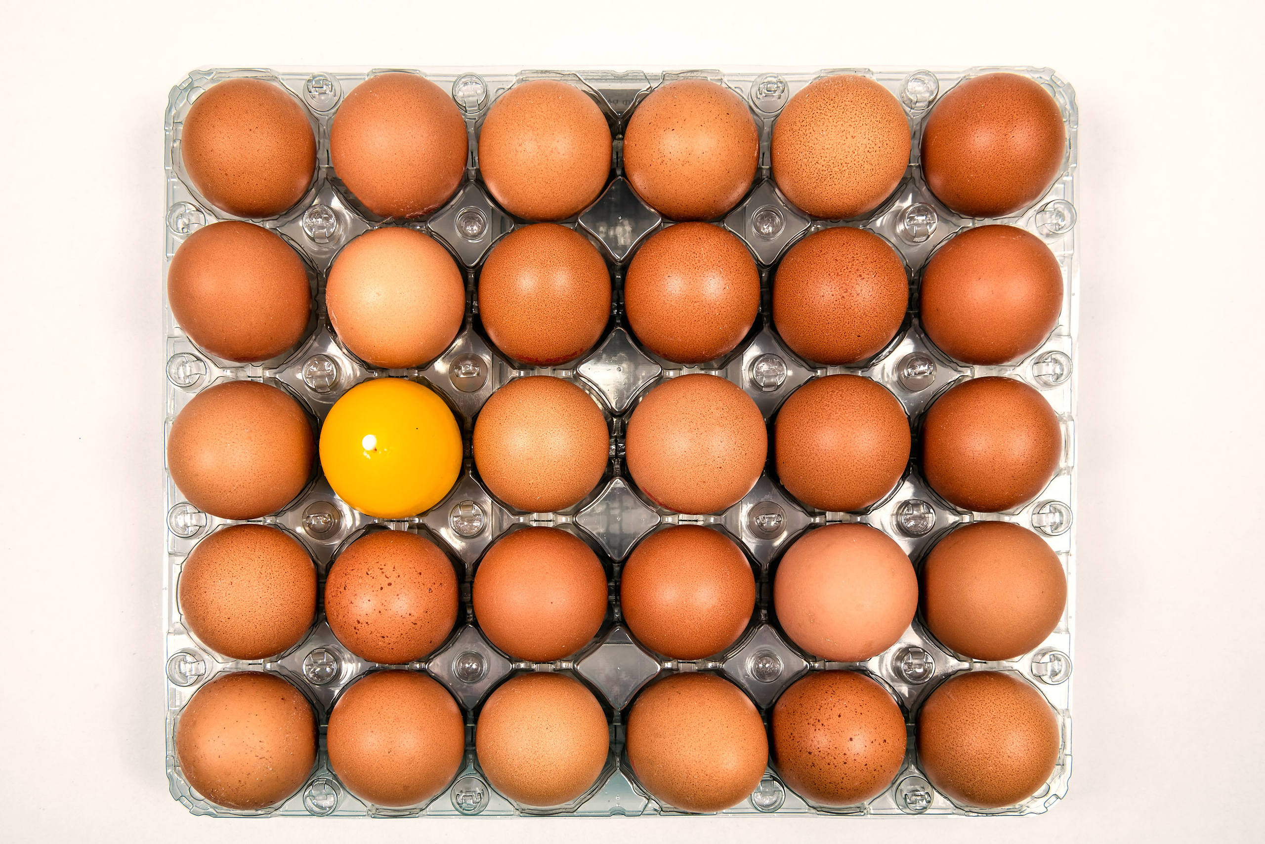 Subject photography. Studio Photomax — Maxim Prikhodnyuk content, family, wedding and adver