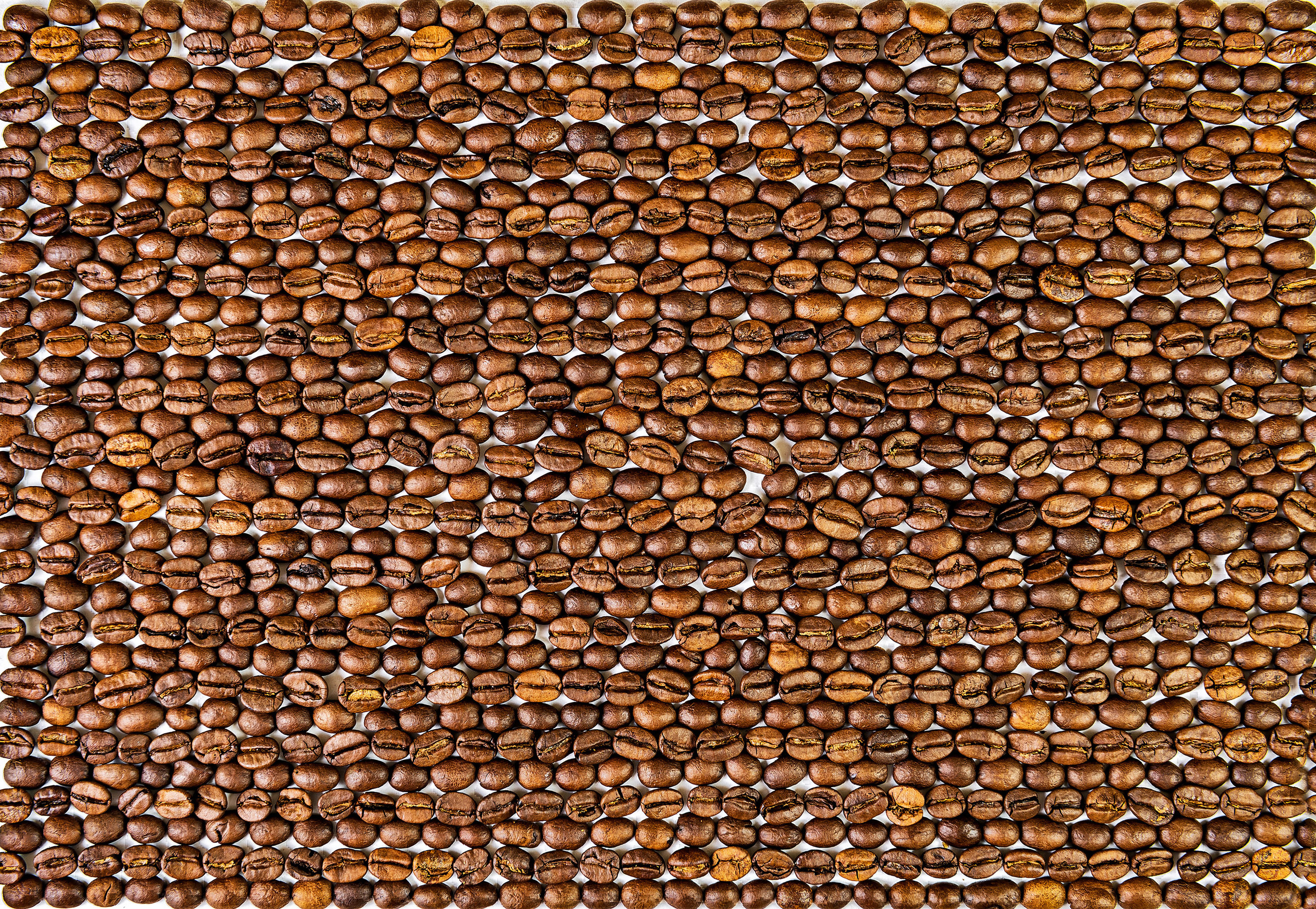 Subject photography. Studio Photomax — Maxim Prikhodnyuk content, family, wedding and adver