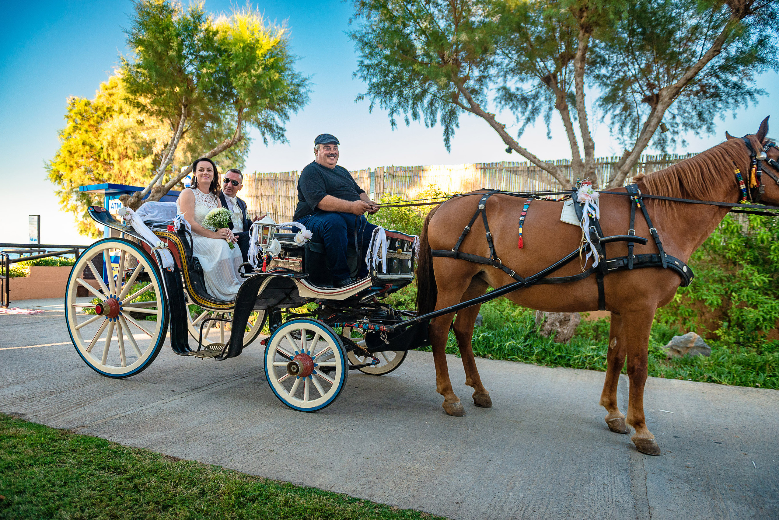 MR & MRS FREI. Studio Photomax — Maxim Prikhodnyuk content, family, wedding and adver