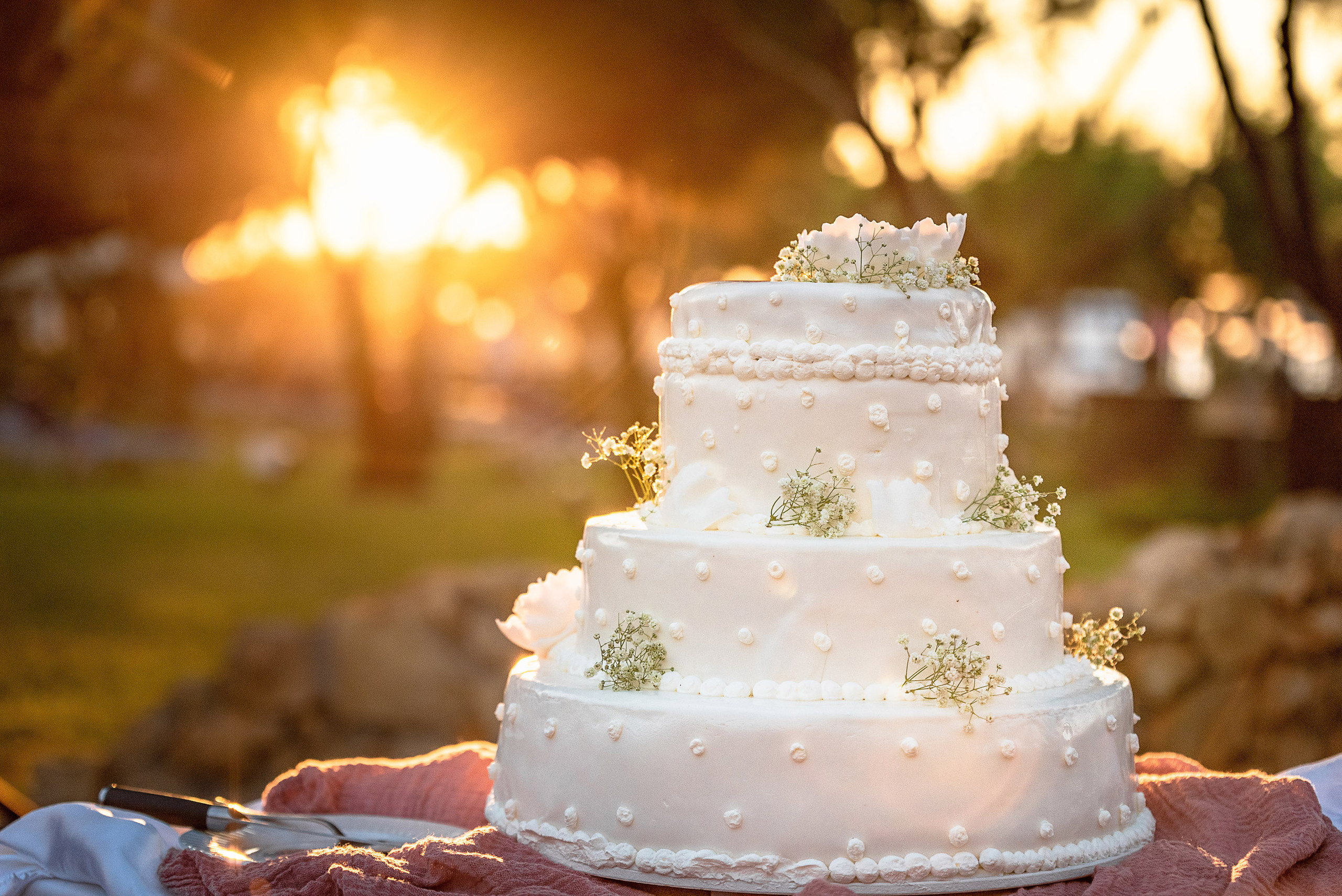 MR & MRS FREI. Studio Photomax — Maxim Prikhodnyuk content, family, wedding and adver