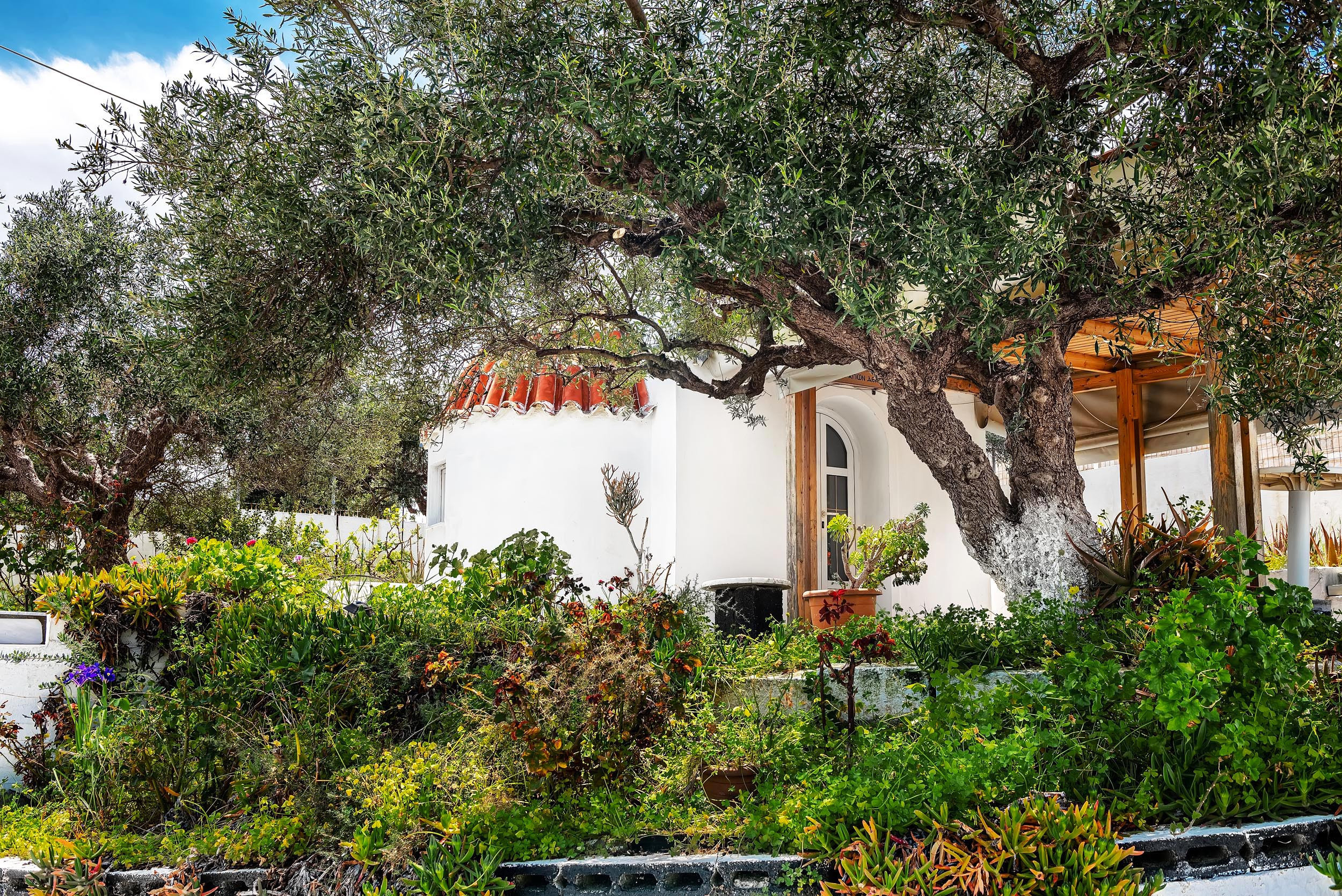 Сomments. Studio Photomax — Maxim Prikhodnyuk content, family, wedding and adver