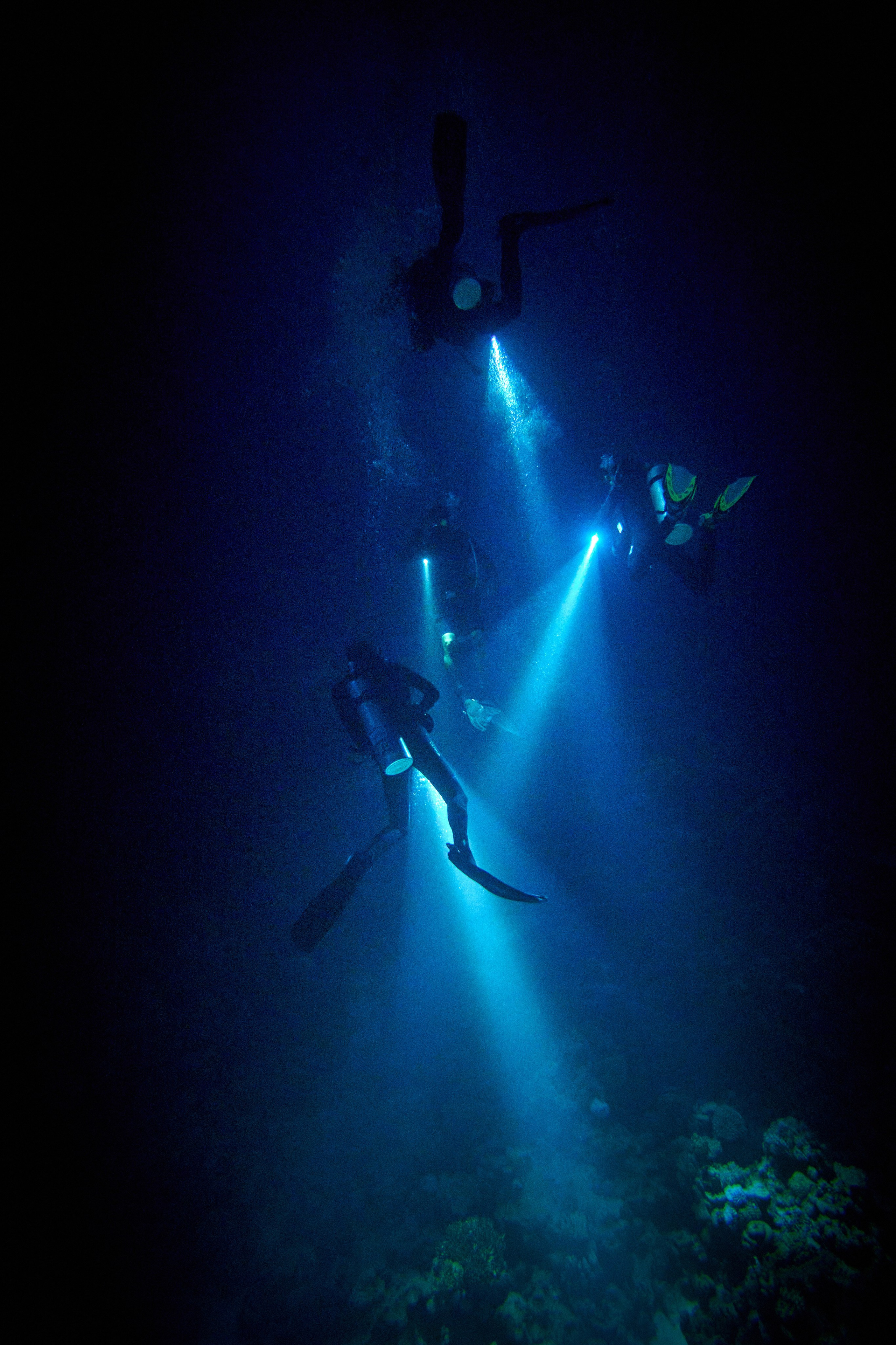 2023-11 - Diving Safari Deep South Egypt. Андрей Шипилов — Фотография & Видеография
