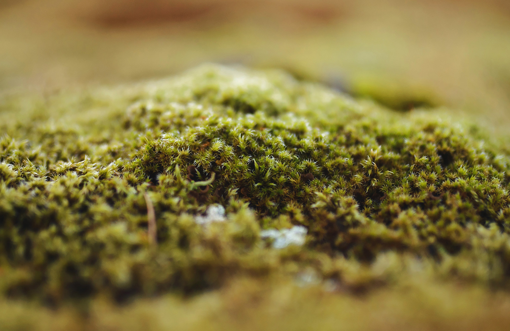 Фототур в Исландию — Андрей Звягинцев