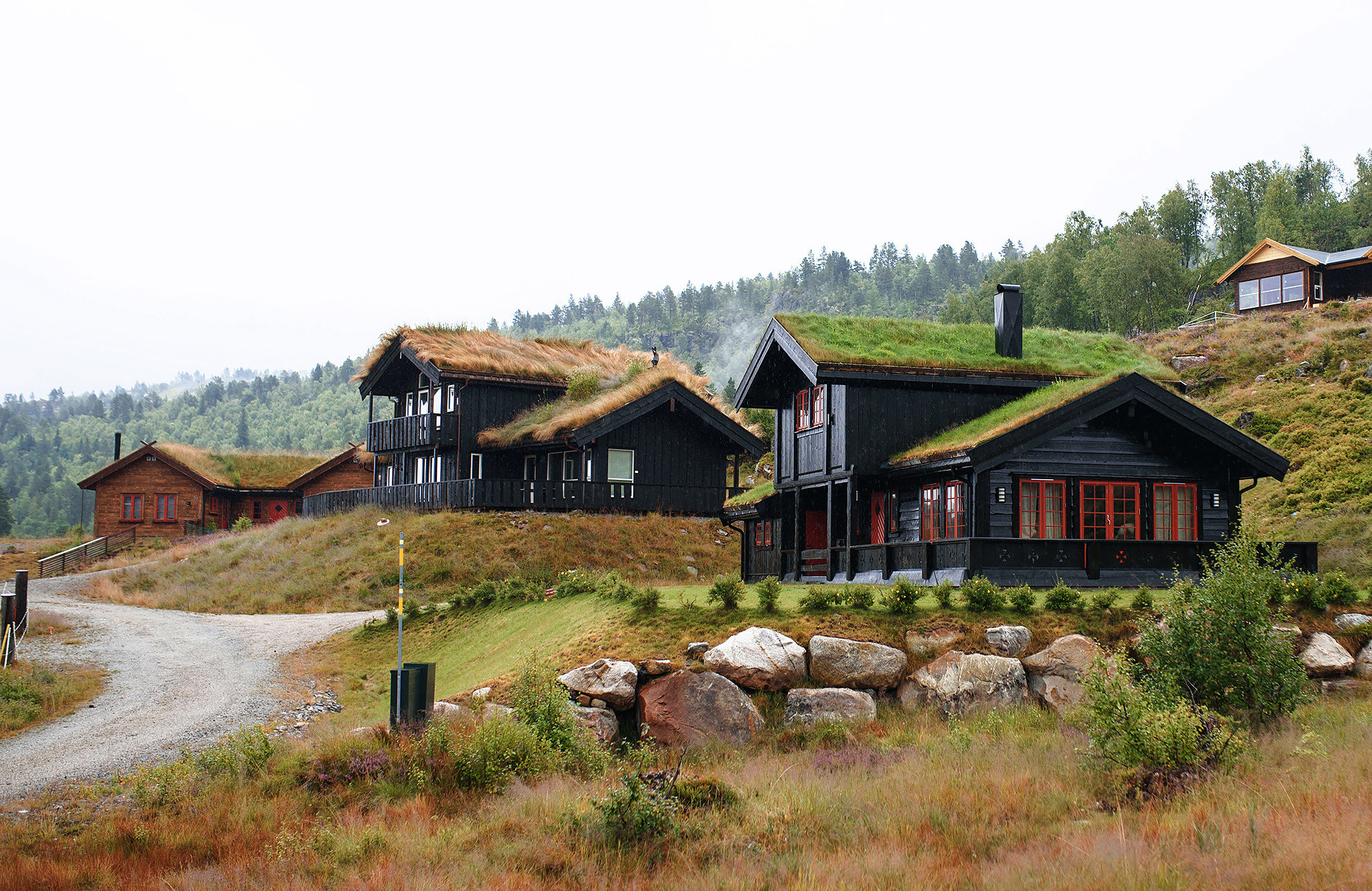 Путешествие в Норвегию с фотографом Андреем Звягинцевым