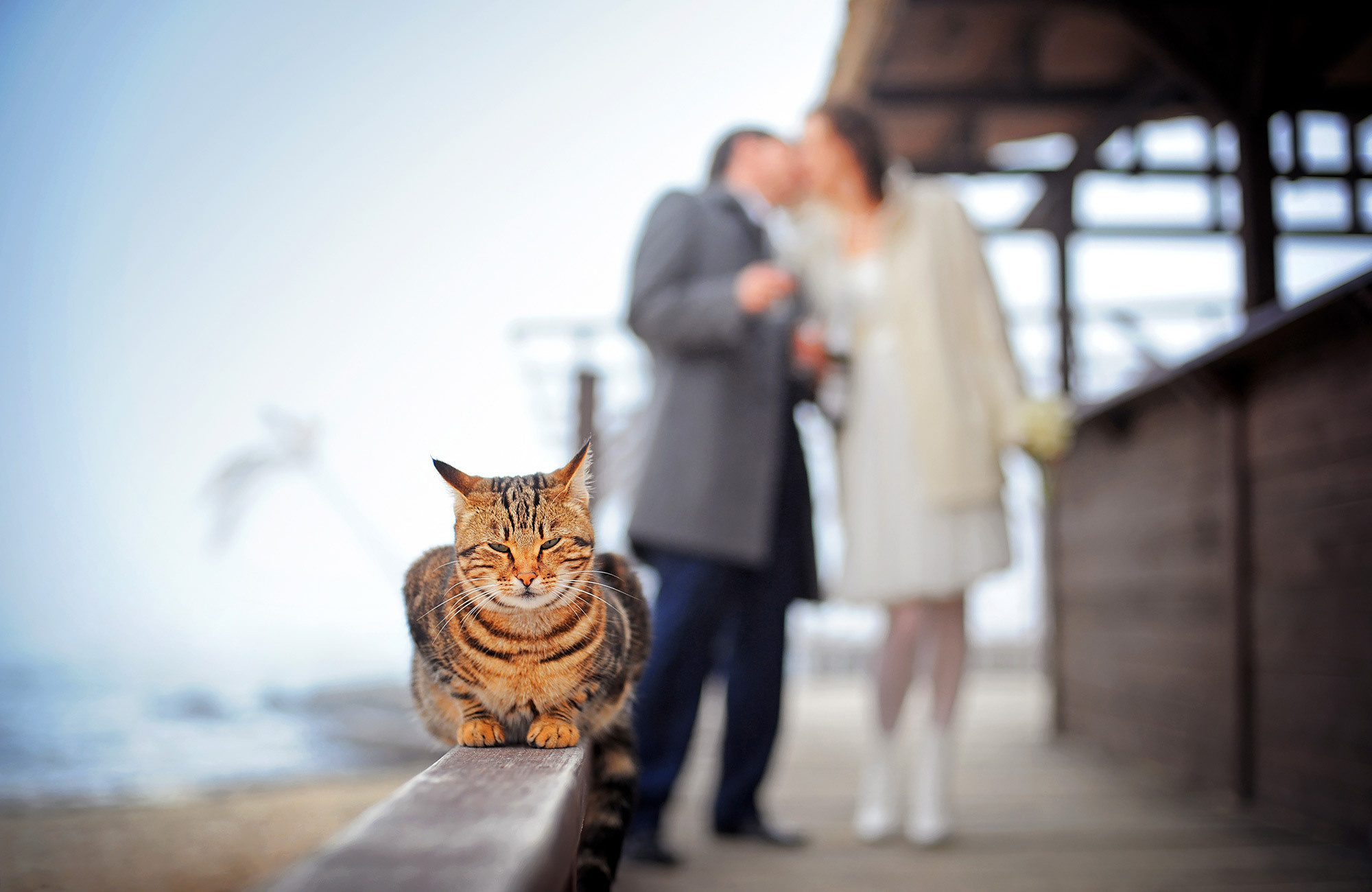 Свадебная фотосъемка по всей Ирландии