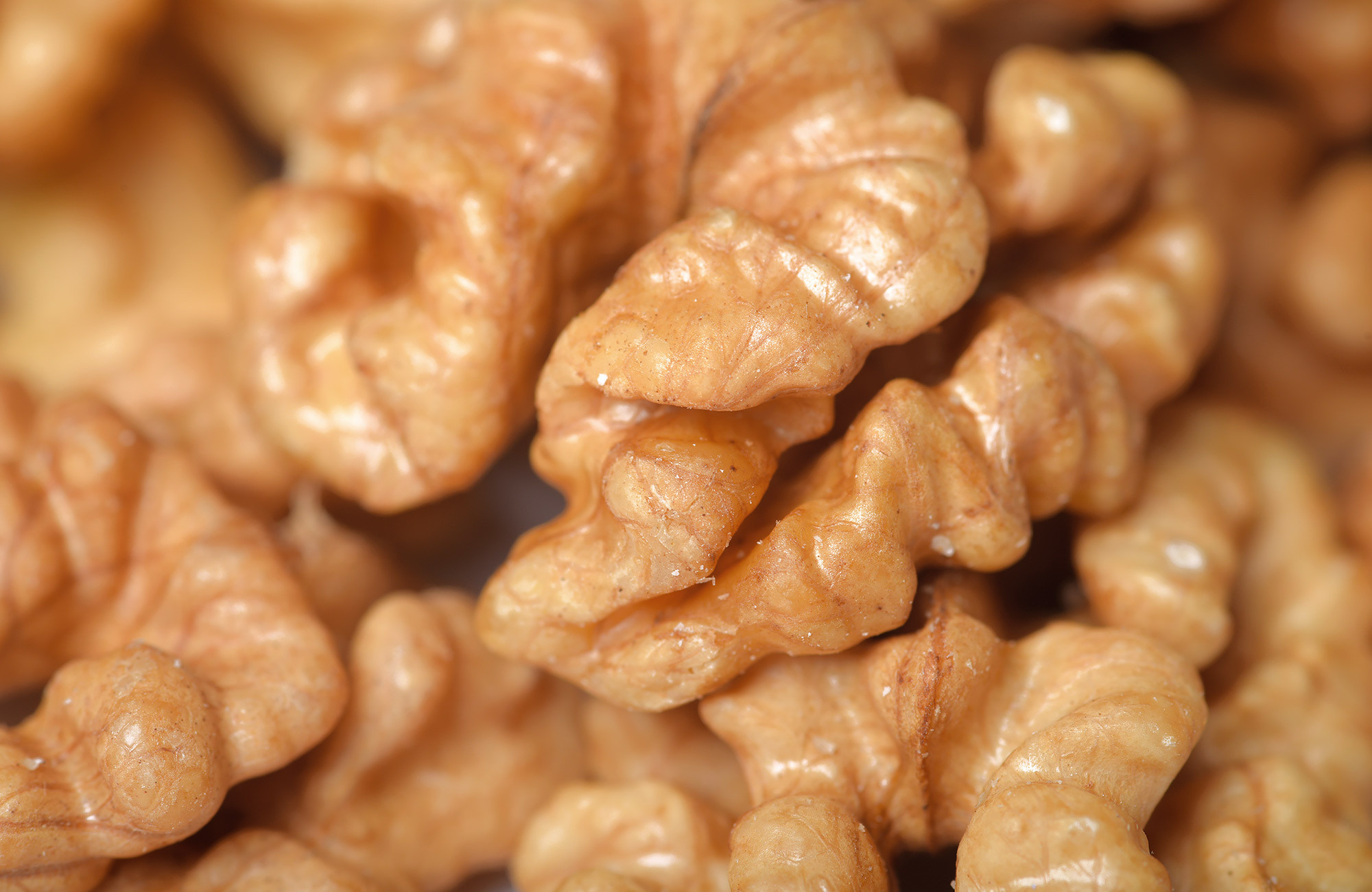 Фотосъемка продукции в Дублине — грецкий орех