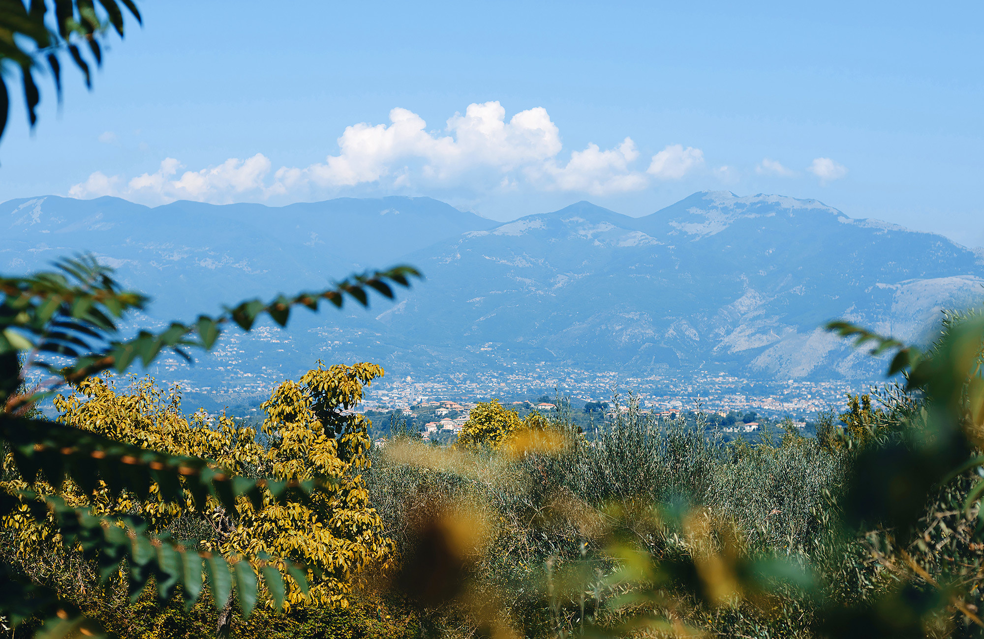 Wedding photography in Arpino, Italy