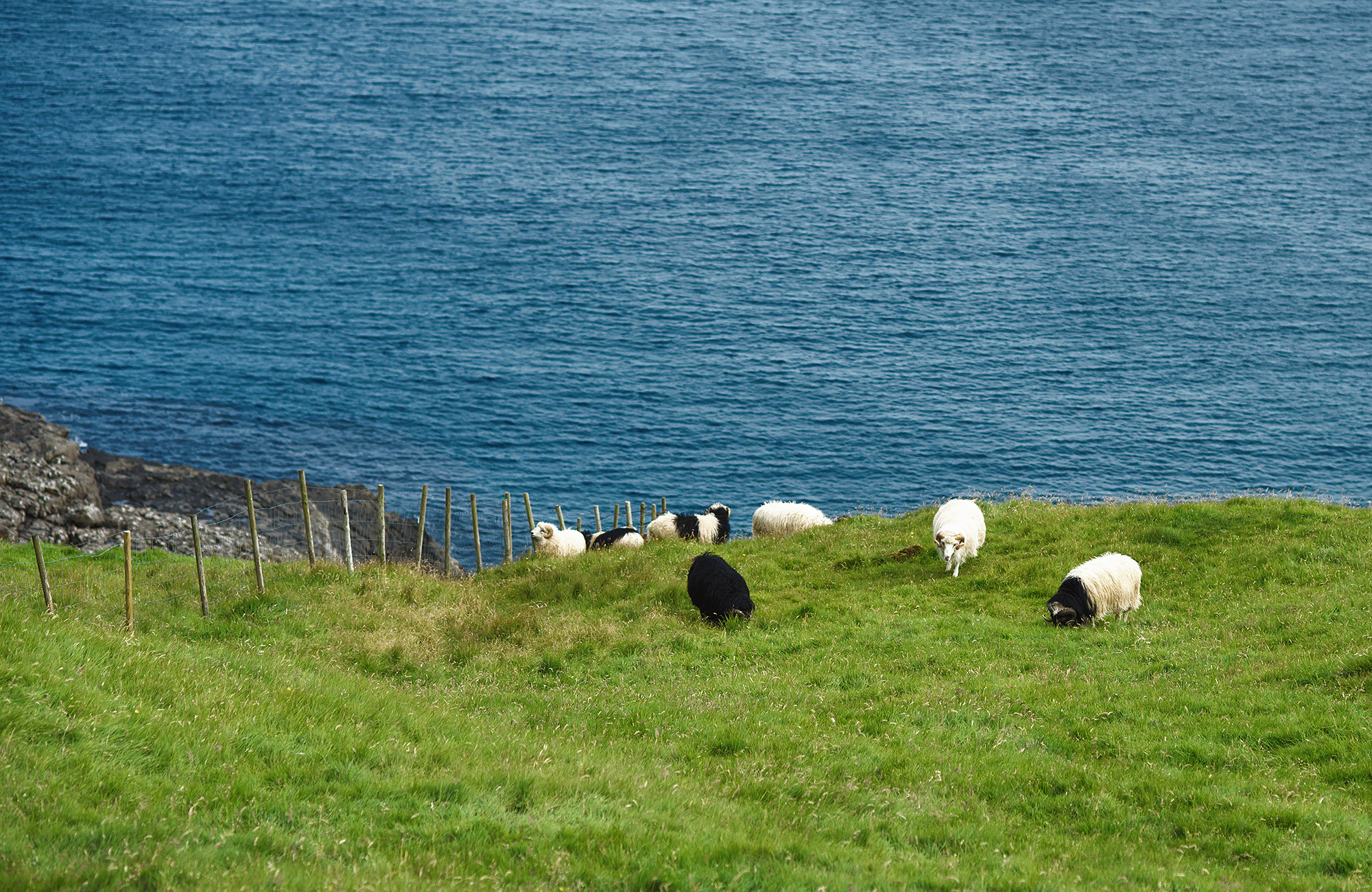 Faroe Islands travel photographer Andrei Zveaghintev