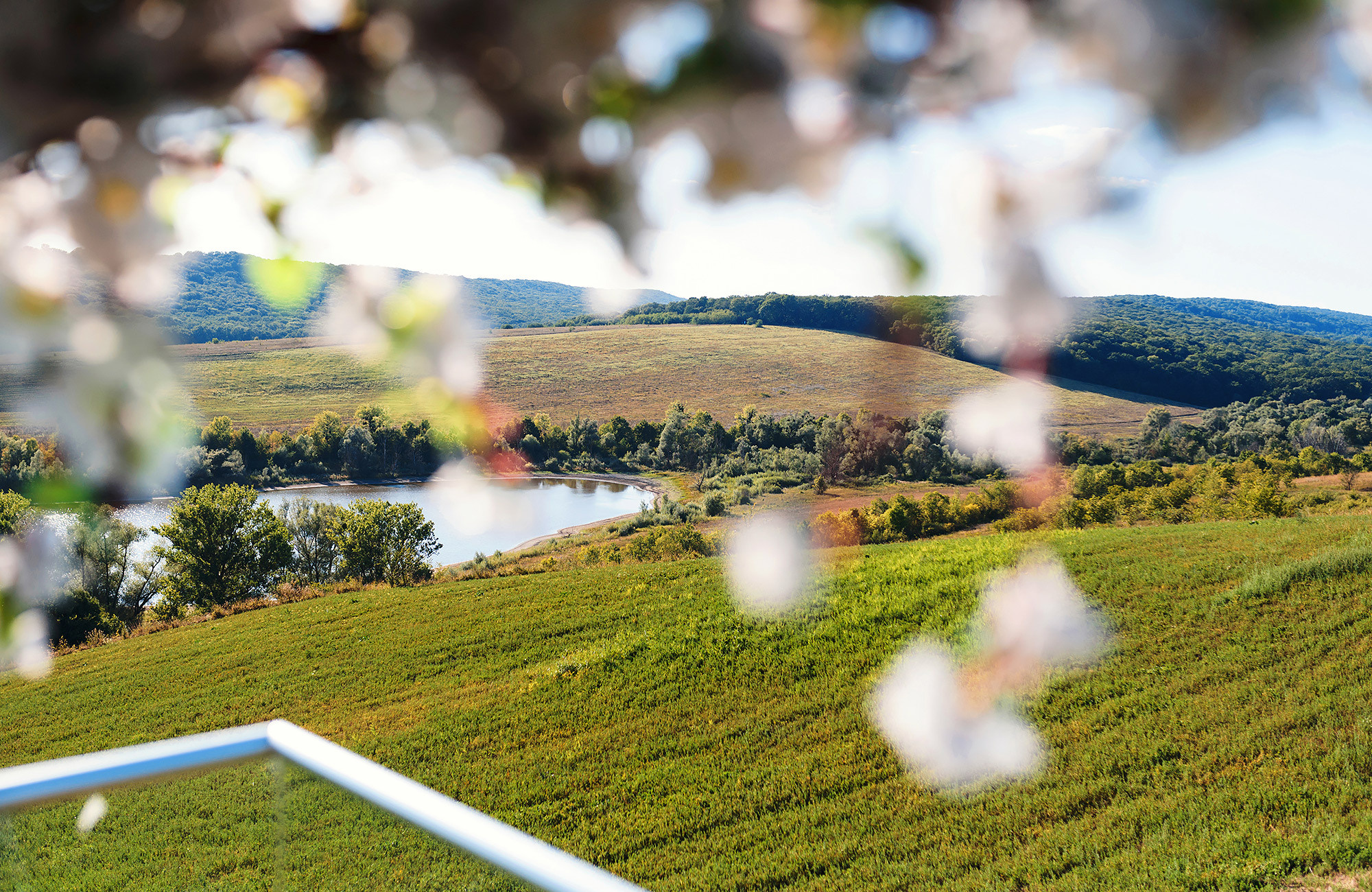 Свадебная фотосъемка в Молдове — Винария Пояна