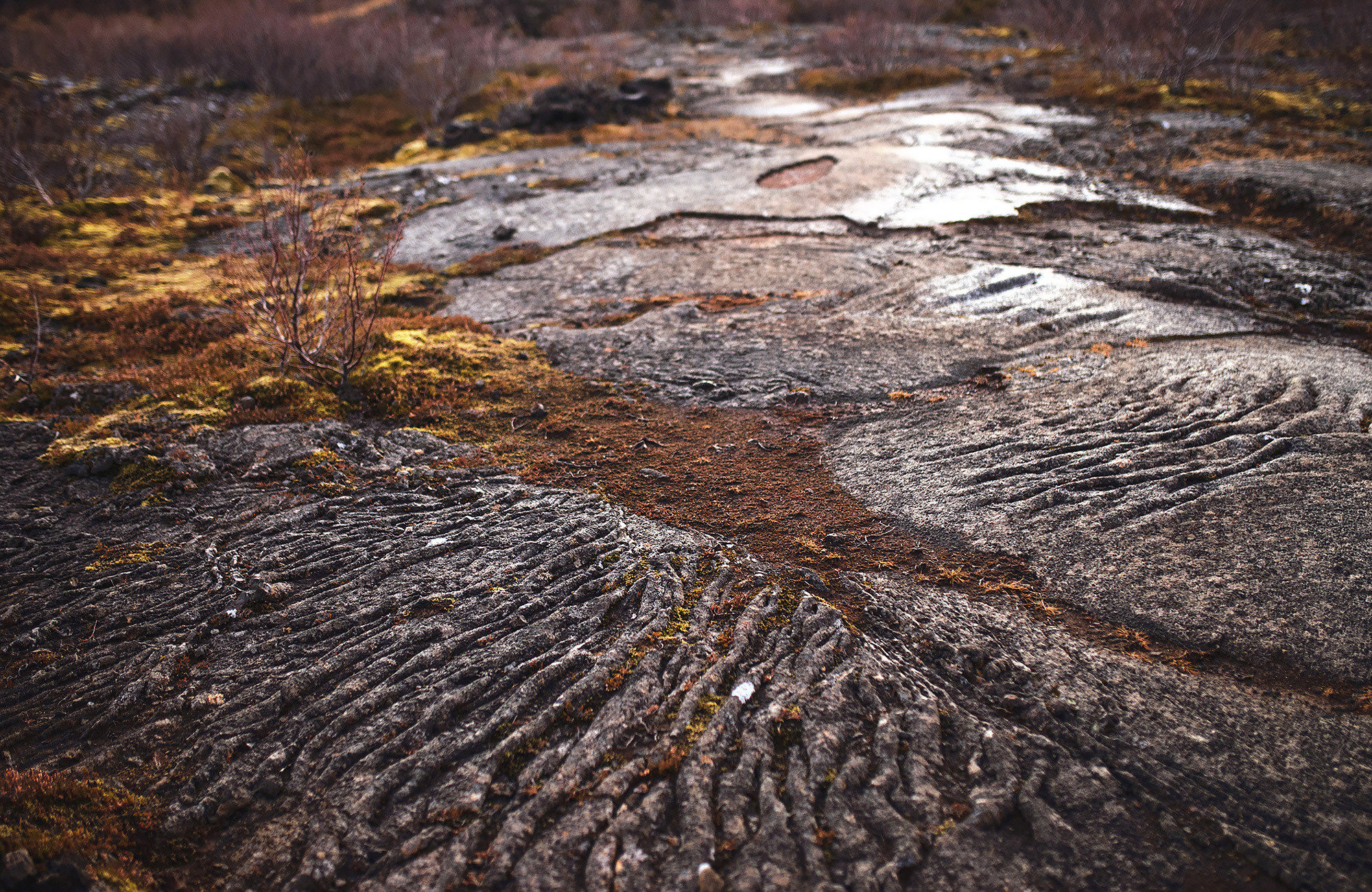 Фототур в Исландию — Андрей Звягинцев