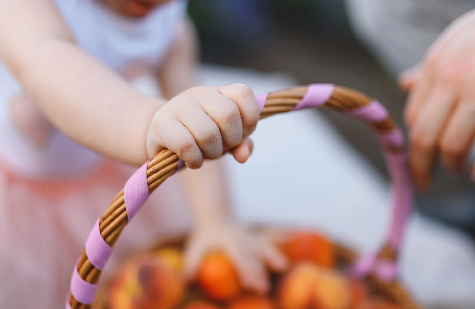 Family photography in lavender field