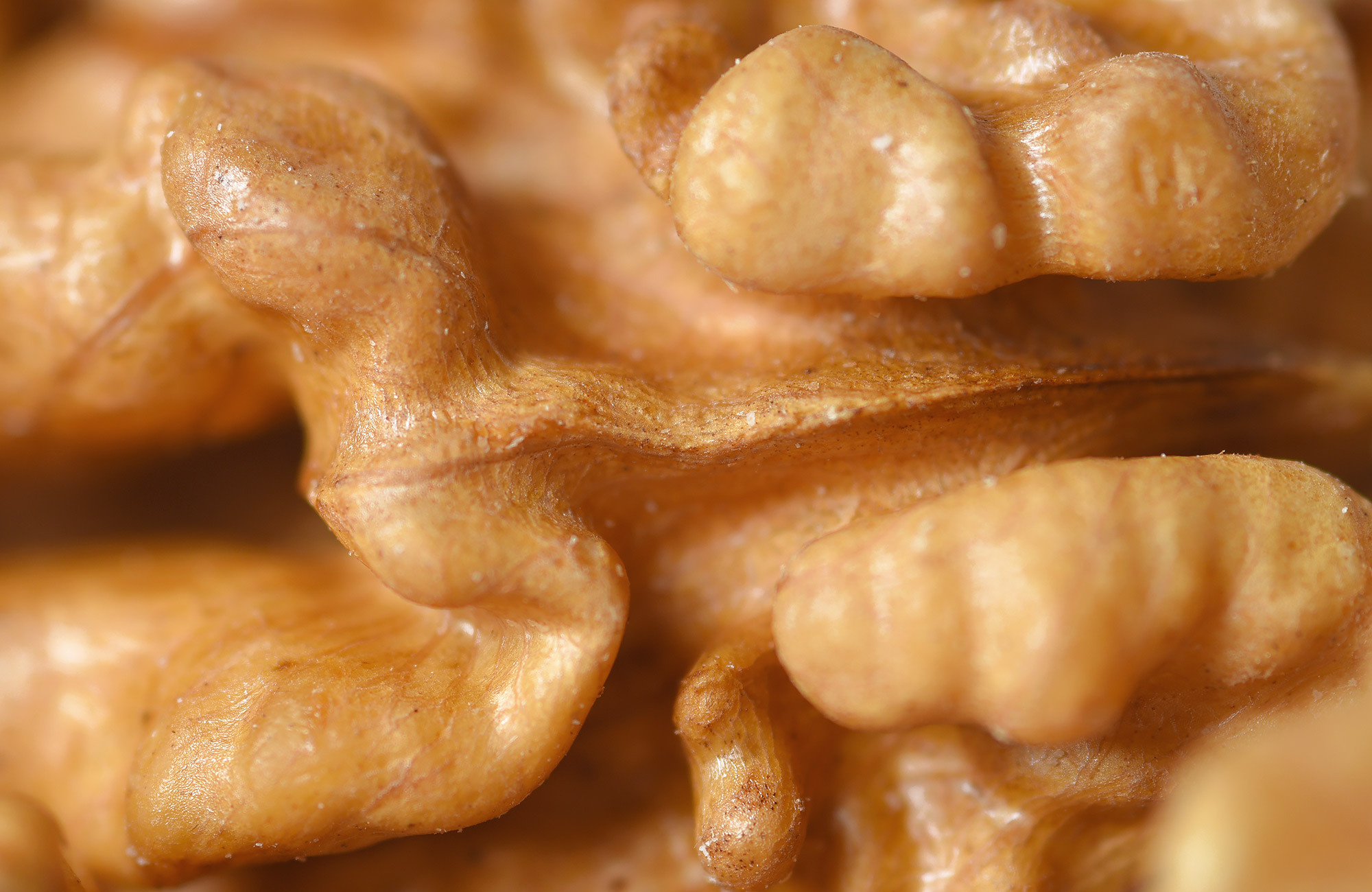 Фотосъемка продукции в Дублине — грецкий орех