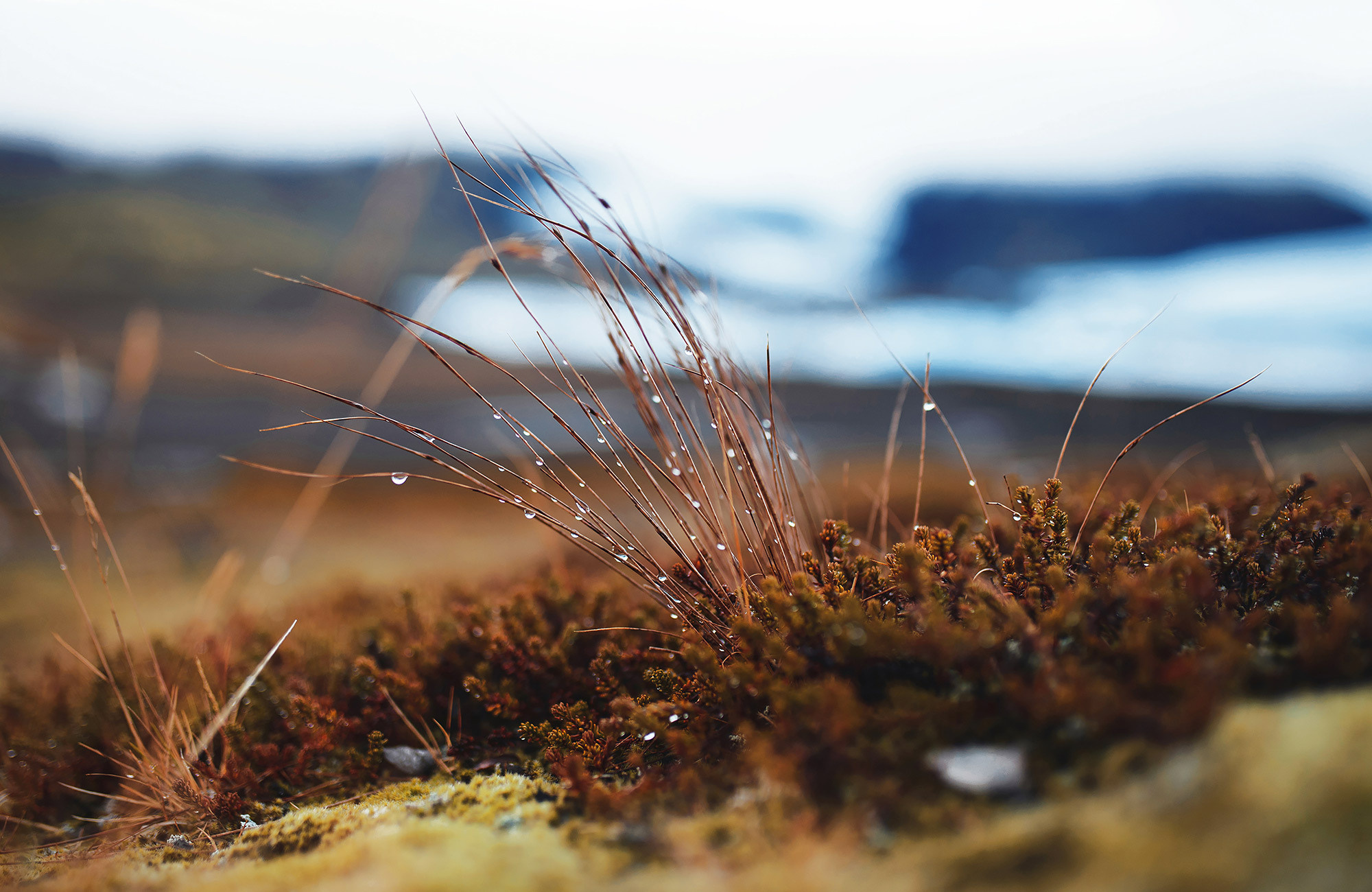Фототур в Исландию — Андрей Звягинцев