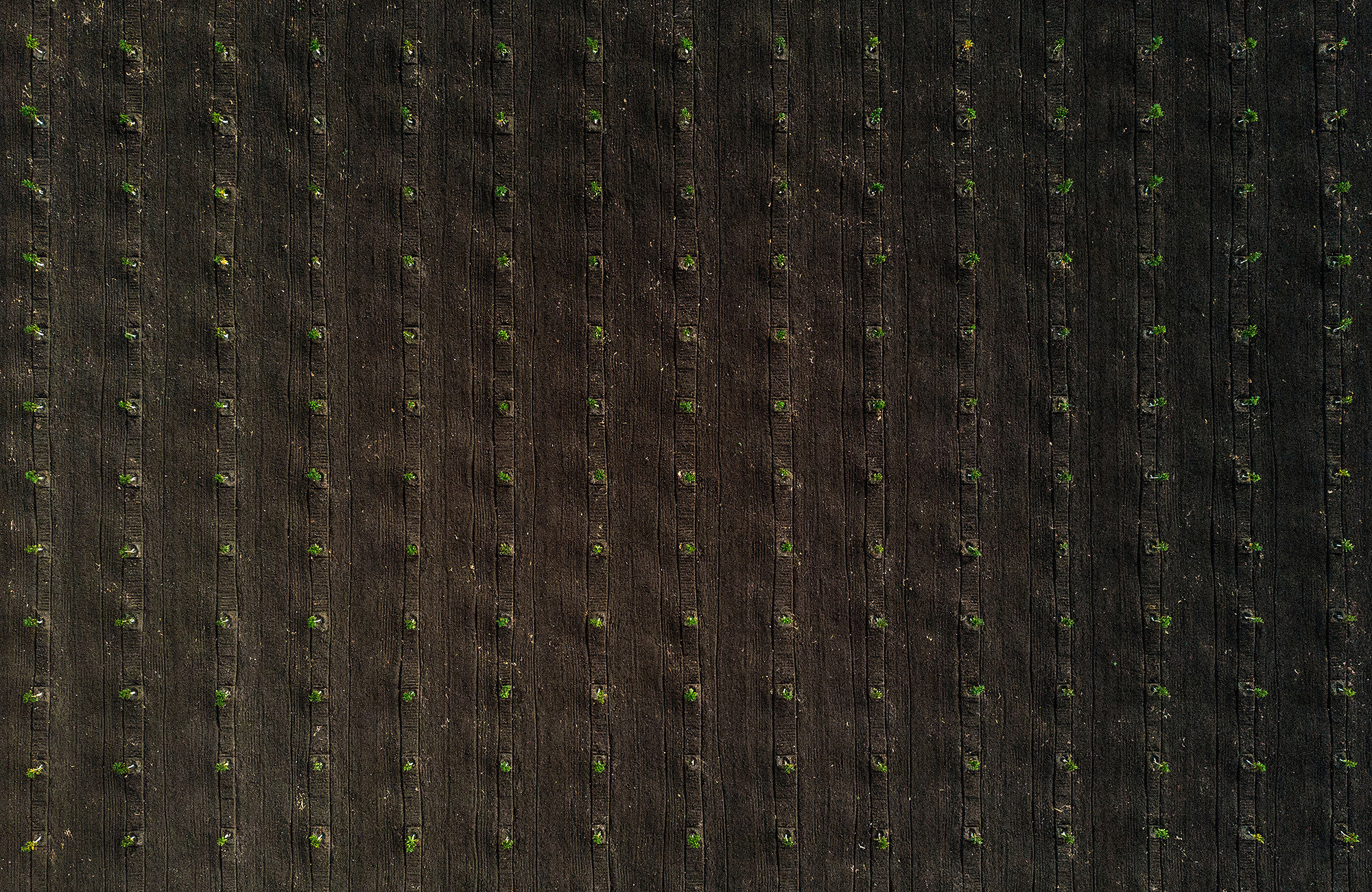 Пейзажная и рекламная фотосъемка в Дублине