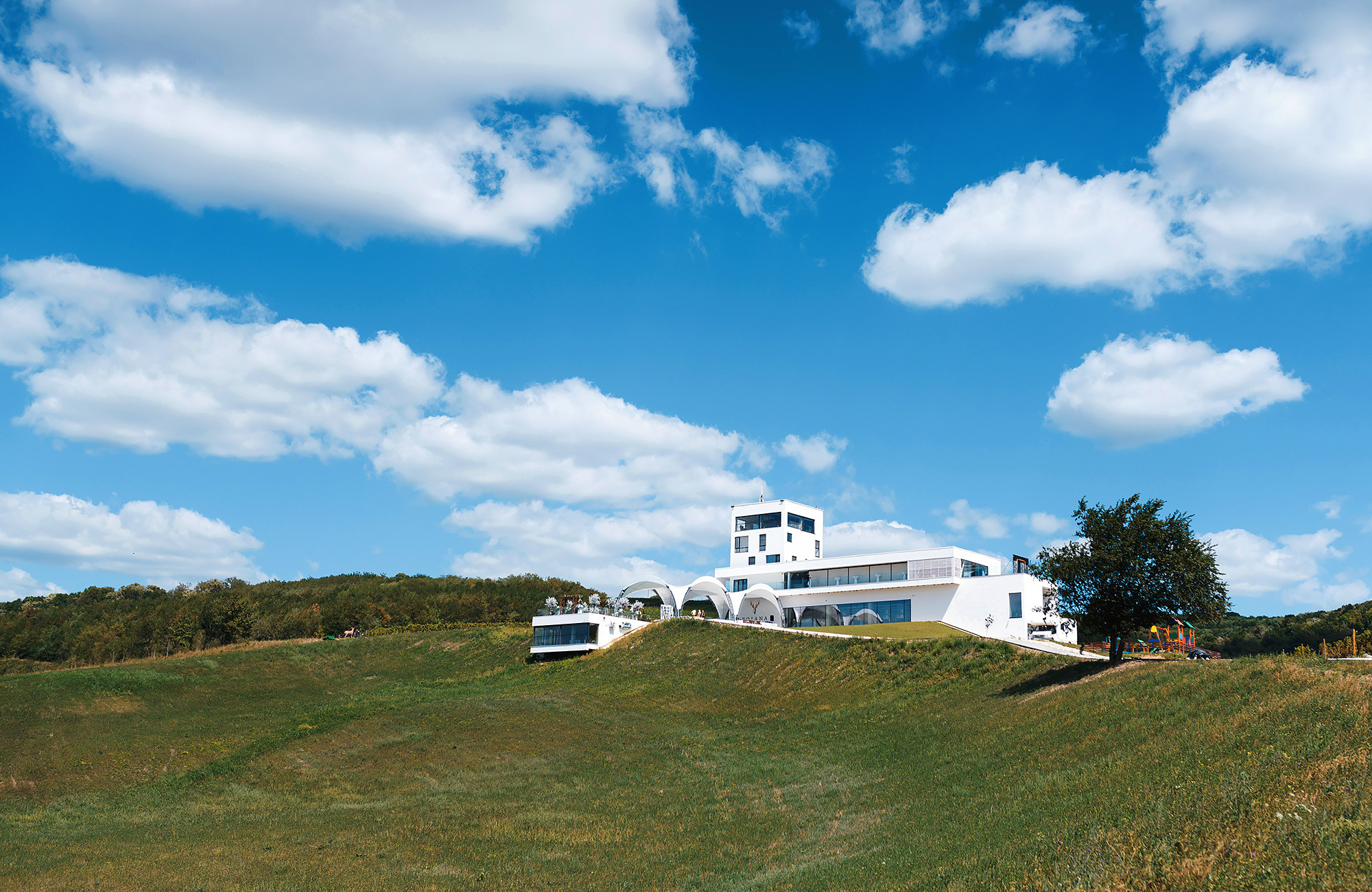 Свадебная фотосъемка в Молдове — Винария Пояна