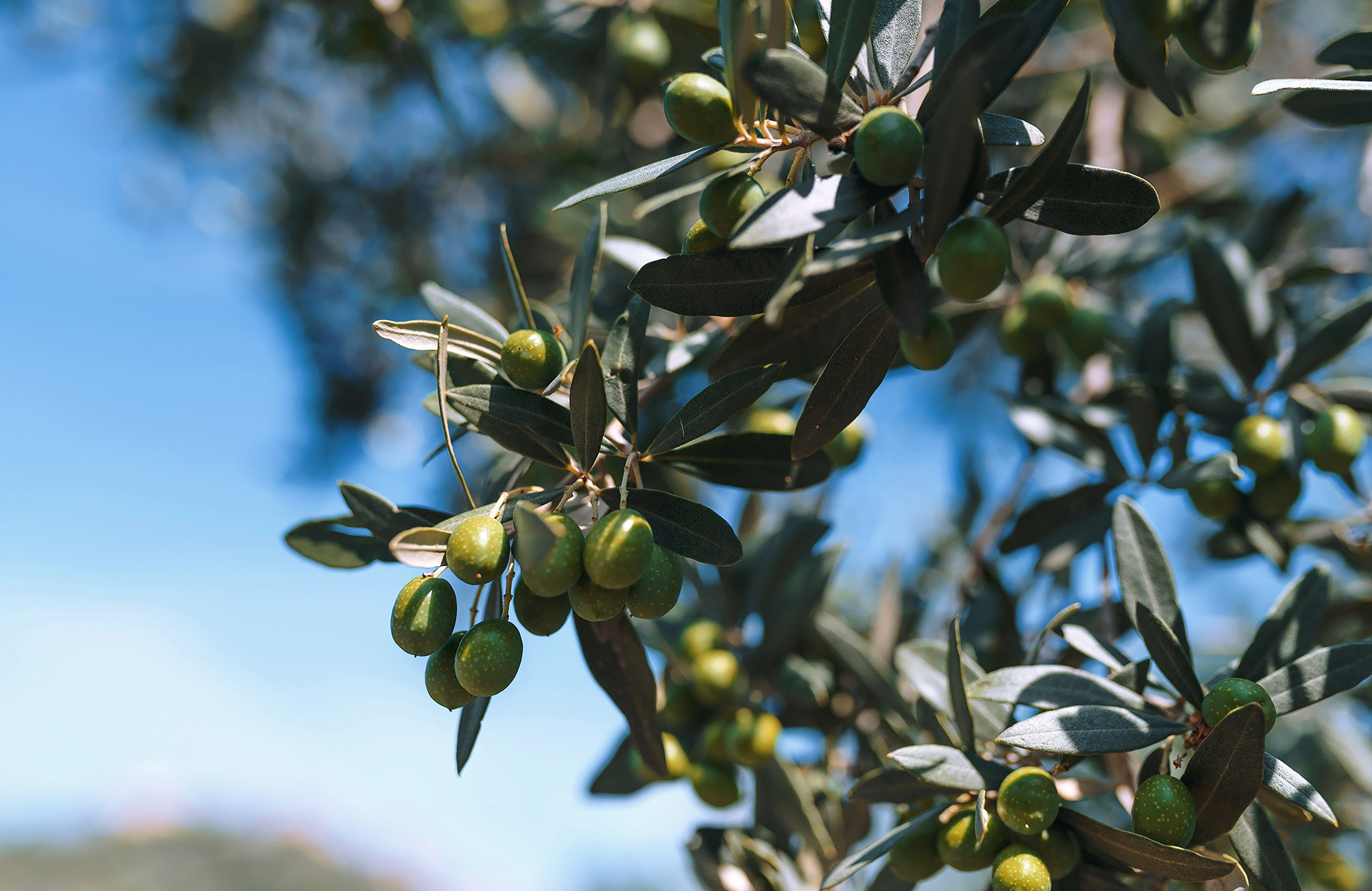 Фототур в Италию — Андрей Звягинцев