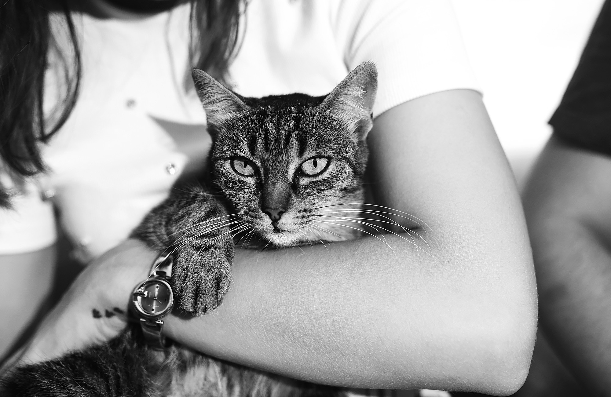 Фотосессия помолвки в Арпино — лав стори