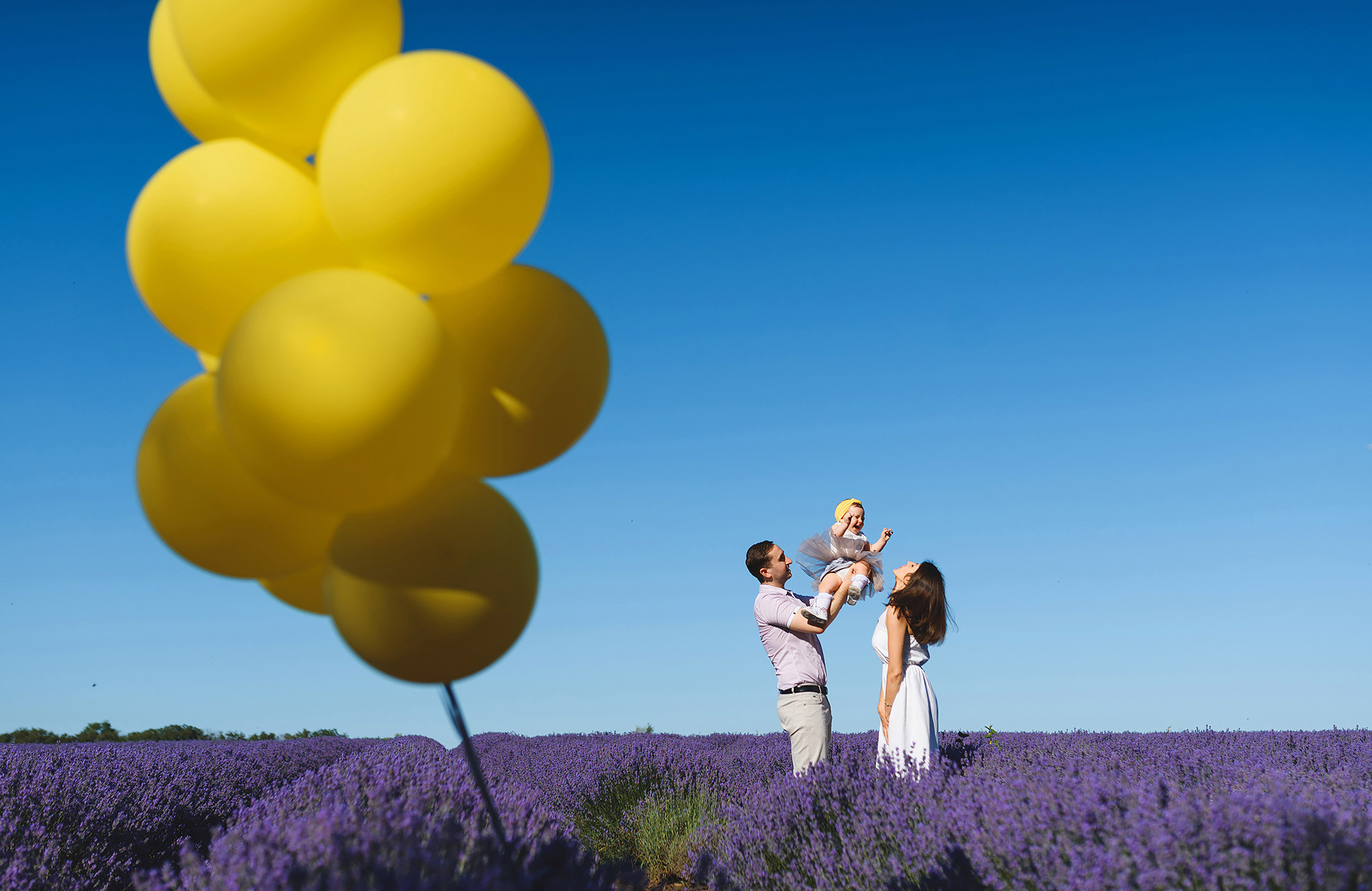 Family photography in lavender field