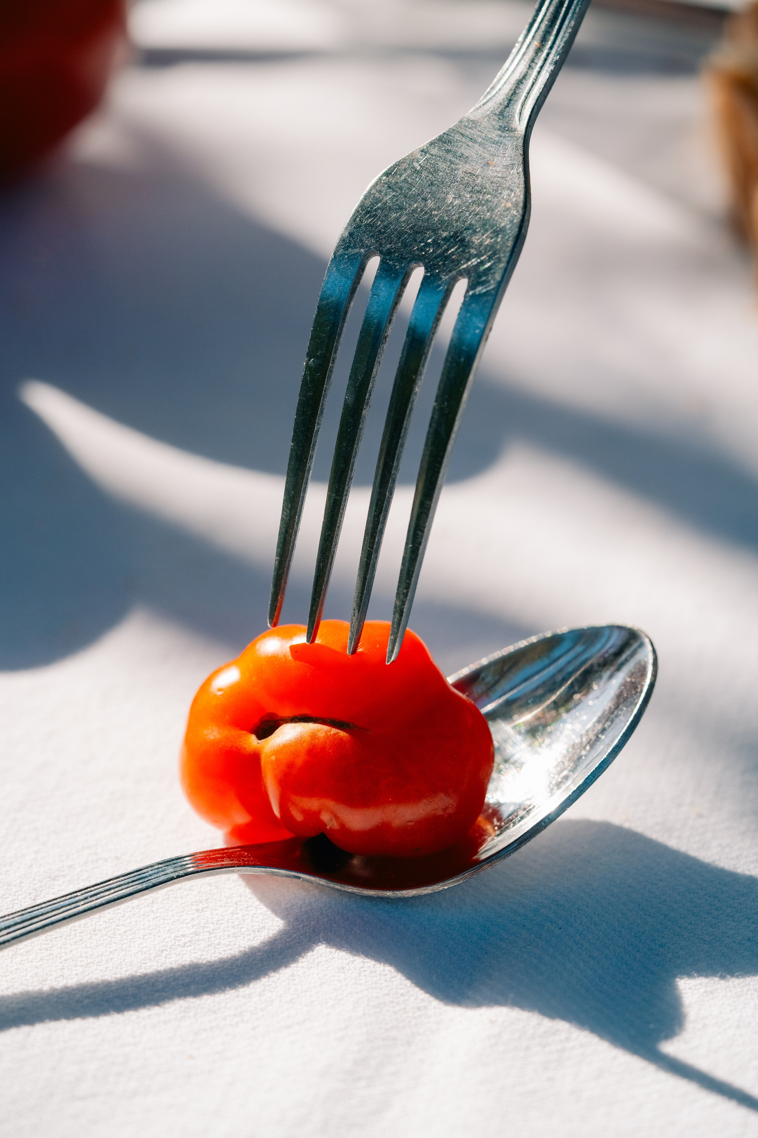 Grande plano de um garfo e uma colher a segurar um tomate cereja sobre uma superfície branca. Um grande plano de um garfo e uma colher que seguram delicadamente um pequeno tomate cereja, projetando sombras suaves sobre uma toalha de mesa branca.