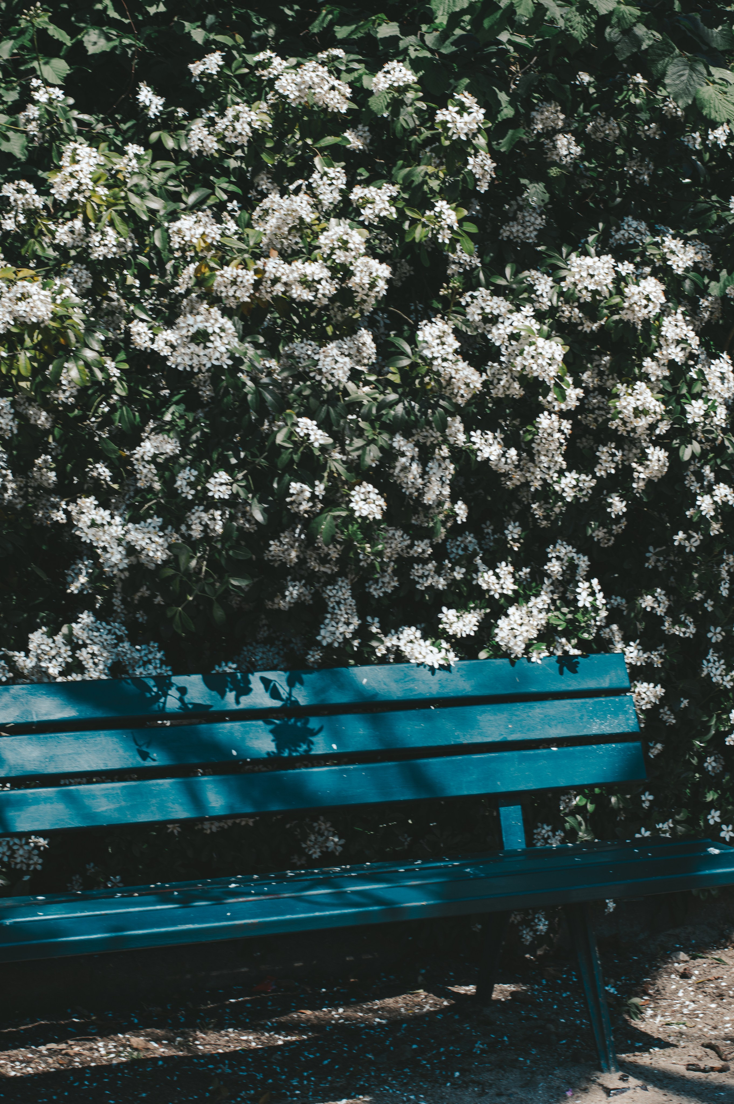 Франция. Анастасия Благова — Твой фотограф в Малаге 🇪🇸